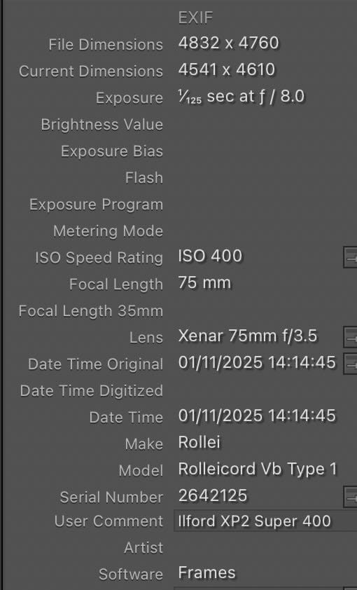 How to Use EXIF Data with Scanned Film Photos | Film Photography Workflow. Hedley Wright Photography | East Anglia Sport, Street, Wildlife, Landscape & Astrophotography