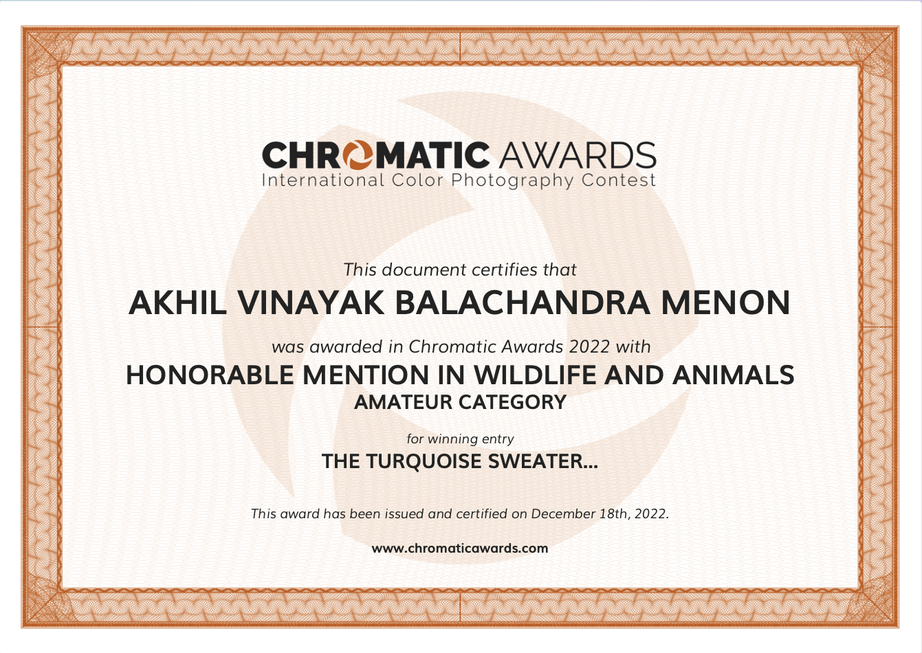AWARDS AND RECOGNITIONS | AKHIL VINAYAK MENON PHOTOGRAPHY. Akhil Vinayak Menon Photography