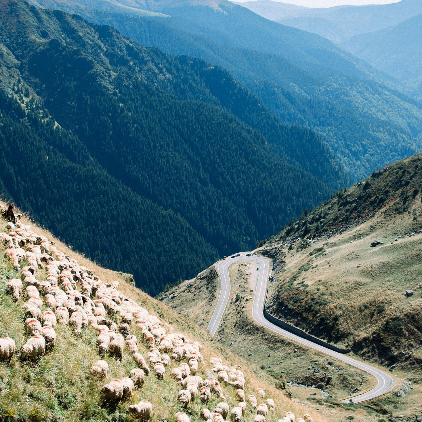 Весільний та сімейний фотограф Анастасия Янко