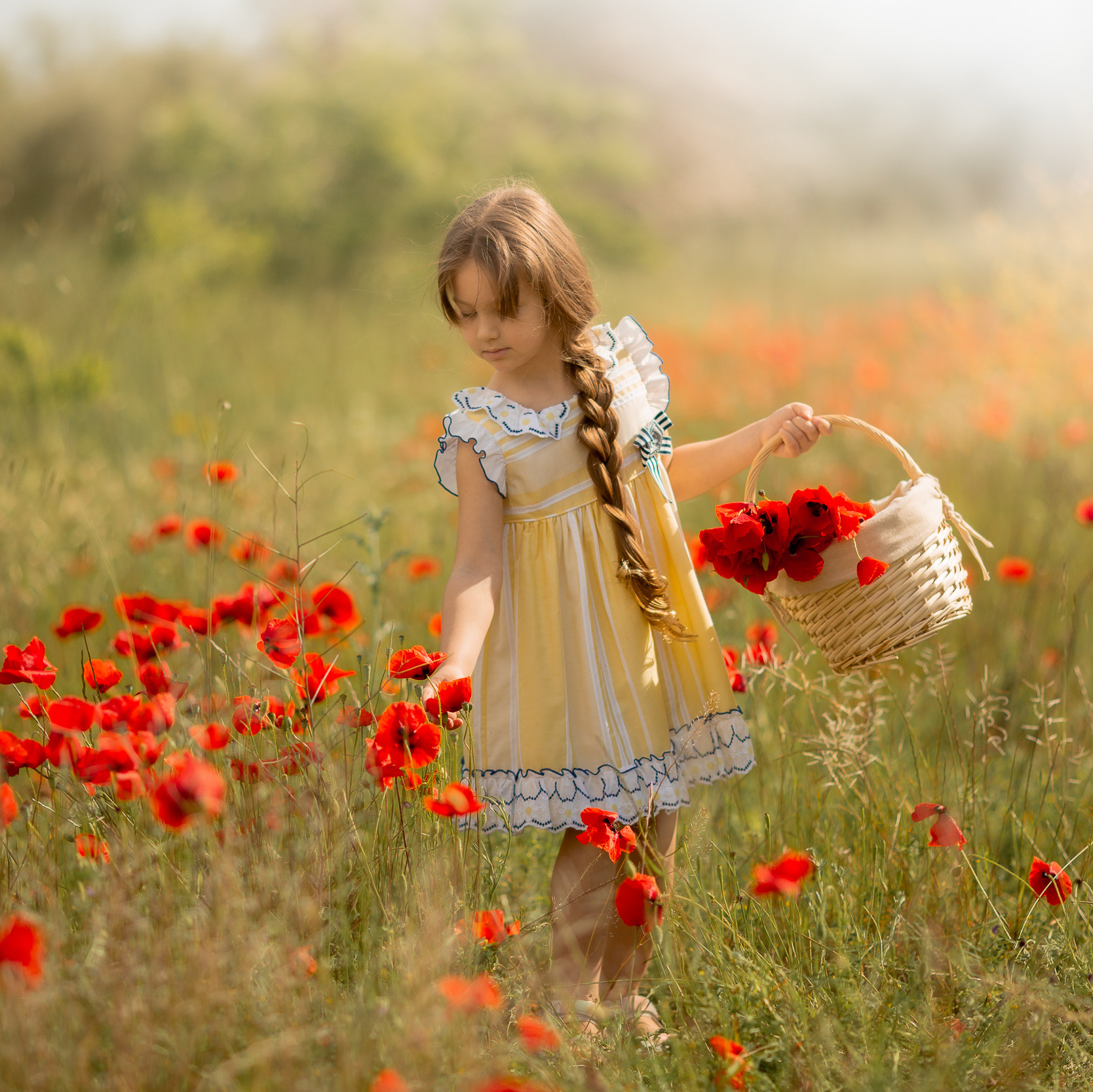 Цены и условия. Фотограф в Испании ( Аликанте, Торревьеха, Бенидорм )