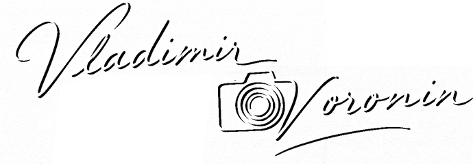 vladimirvoronin.com