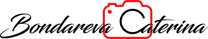 bondareva-caterina.wfolio.pro