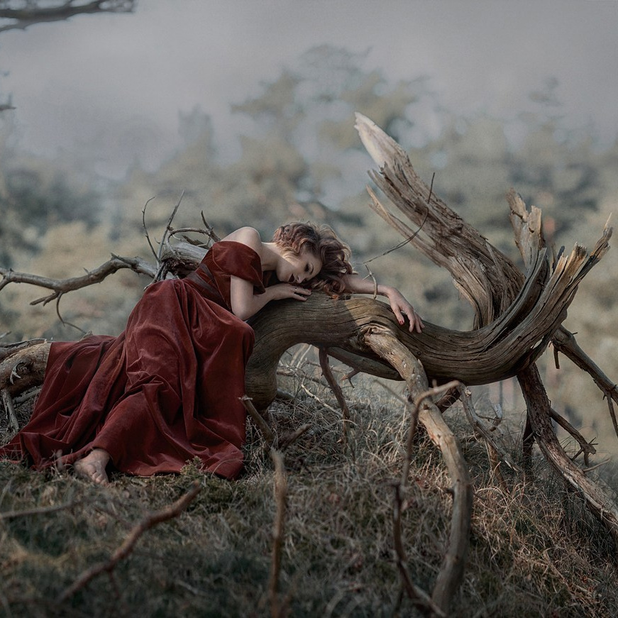 SOUL OF TREE. Art photographer in Amsterdam, the Netherlands Irina Dzhul