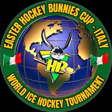 Sport-Art Hockey. Photographer, Videomaker, Drone, Padova, Venice, Italy, Elena Radchenko