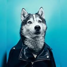 Фотоаппарат для начинающих. Портретный и спортивный фотограф в Алматы Алексей Овечкин