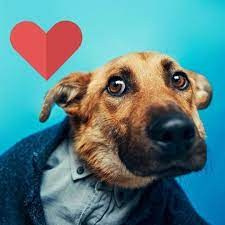 Фотоаппарат для начинающих. Портретный и спортивный фотограф в Алматы Алексей Овечкин