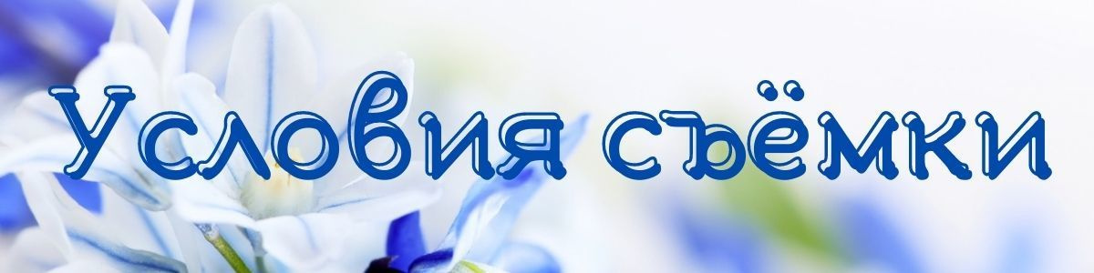 Условия съёмки. Семейный фотограф Великодолинское