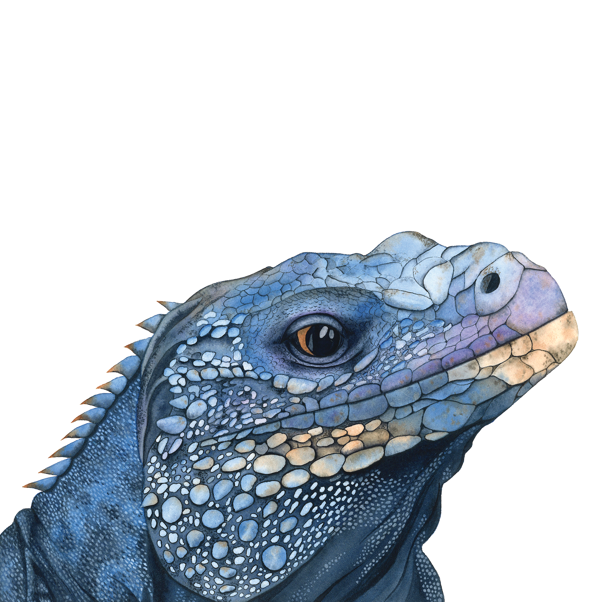 Watercolours. Evgeniia Bychina, painter