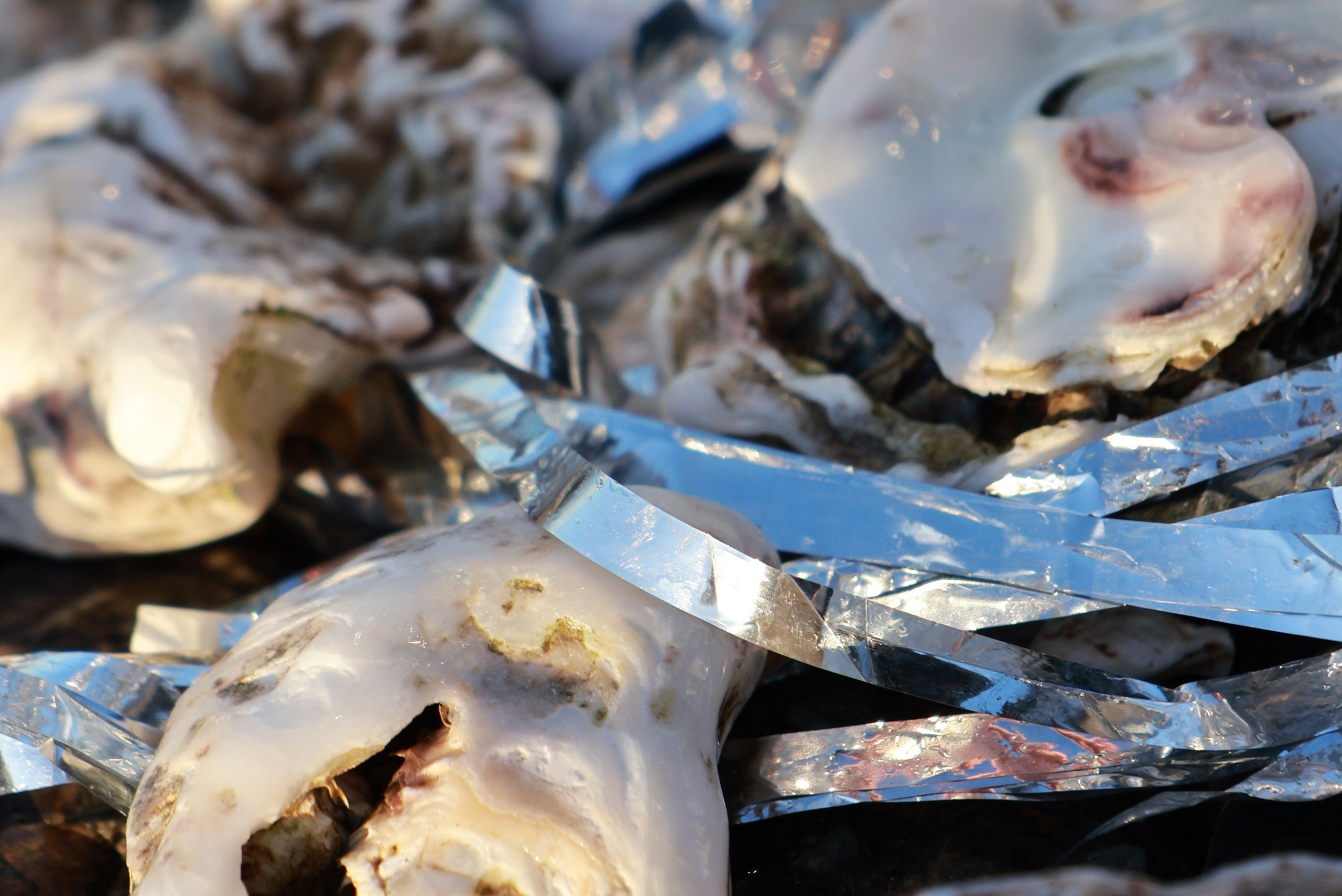 Anastasia M Photographer