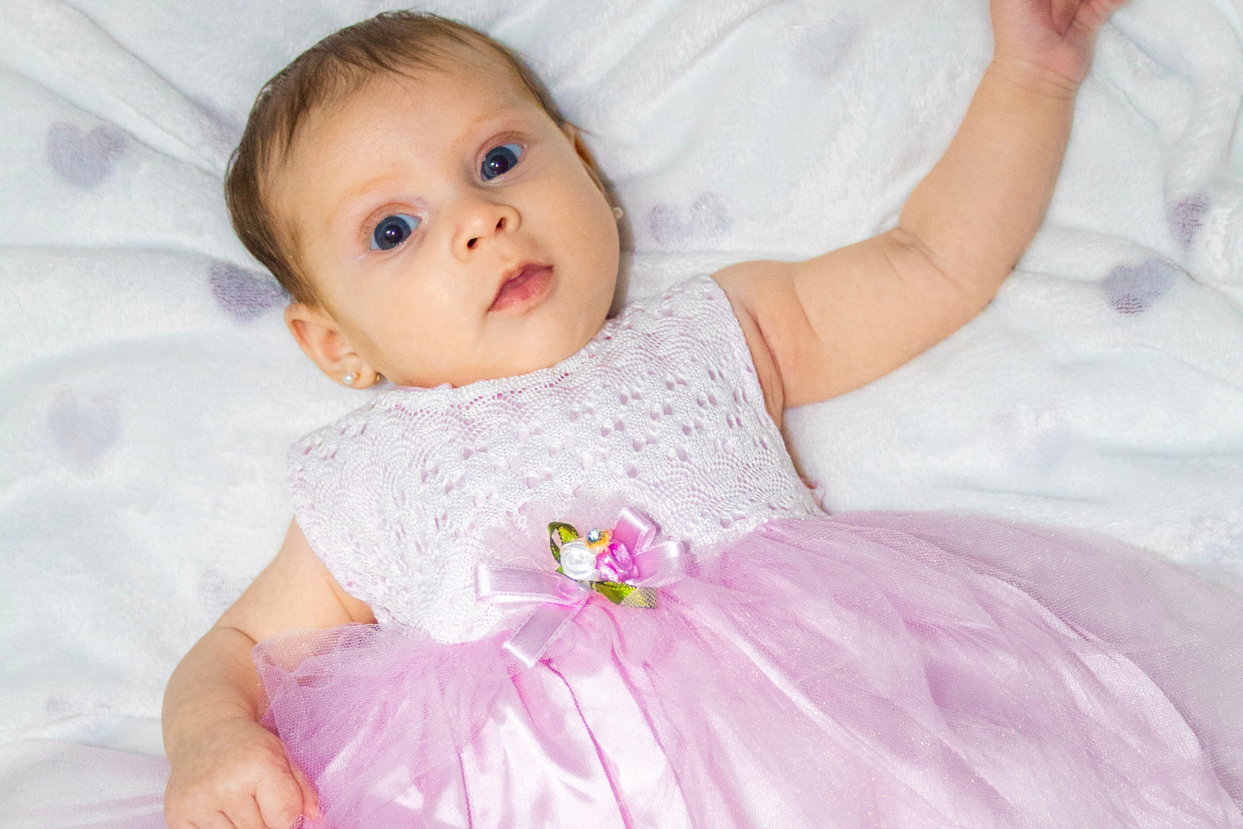 Servicii. Z I N E M A