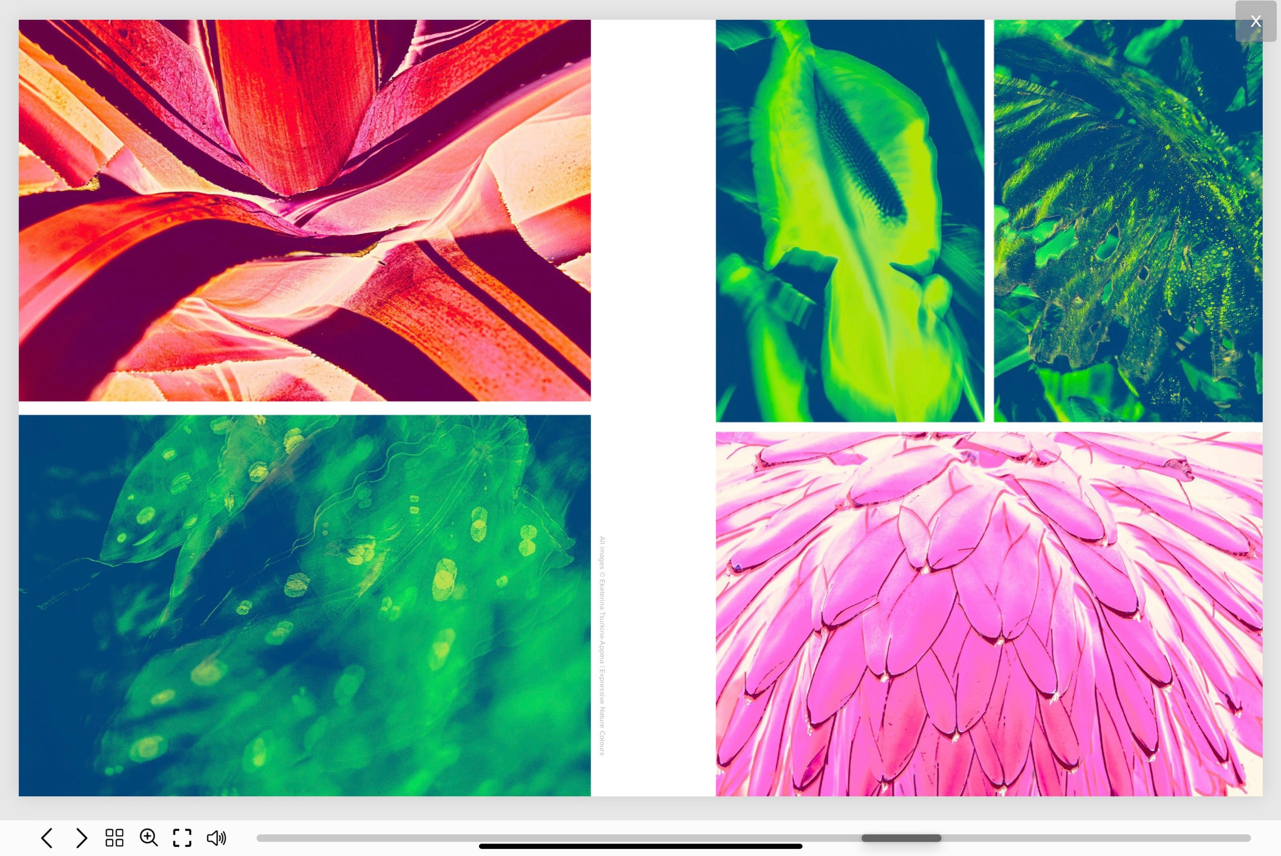 Different publications. Ekaterina Tsurkina-Appina Photography Canada