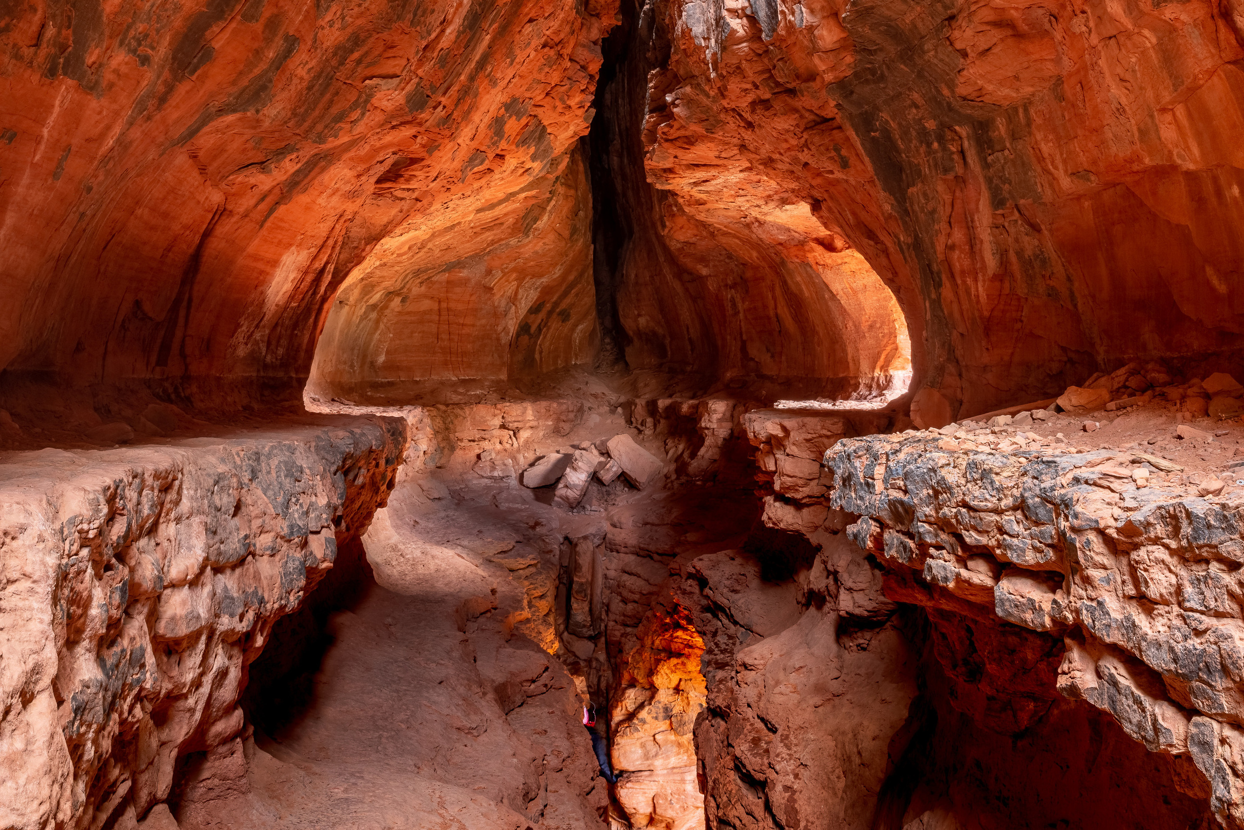 New Year In Sedona. Pet, Senior, Landscape, portrait studio, photographer in Miami and Sou