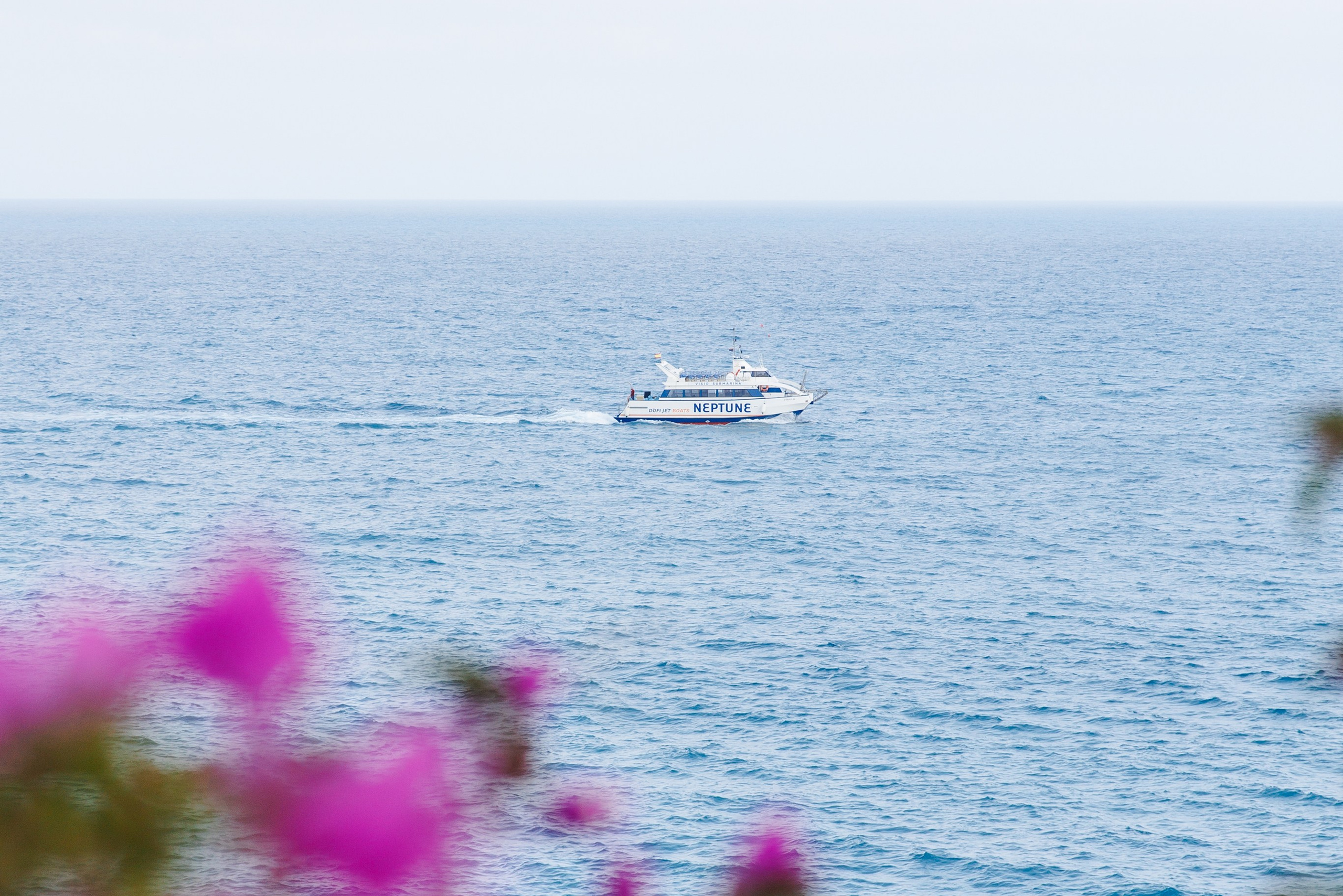 Dreamy Elopement in Marimurtra Botanical Garden. Wedding Photographer in Barcelona Lana Alekhina