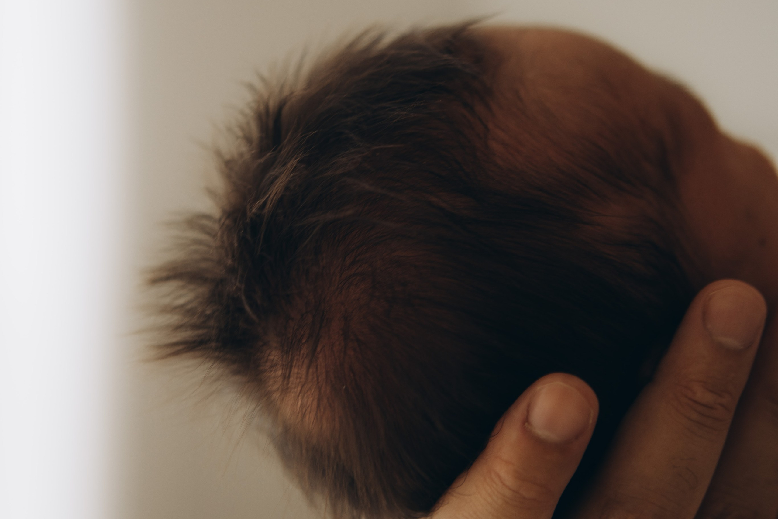 recém-nascido no colo da mãe em ensaio newborn em Sorocaba