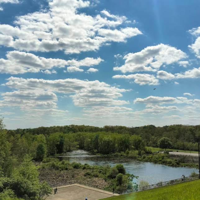 Best Places to Propose in Columbus, Ohio | Romantic Proposal Locations. Kovyphoto