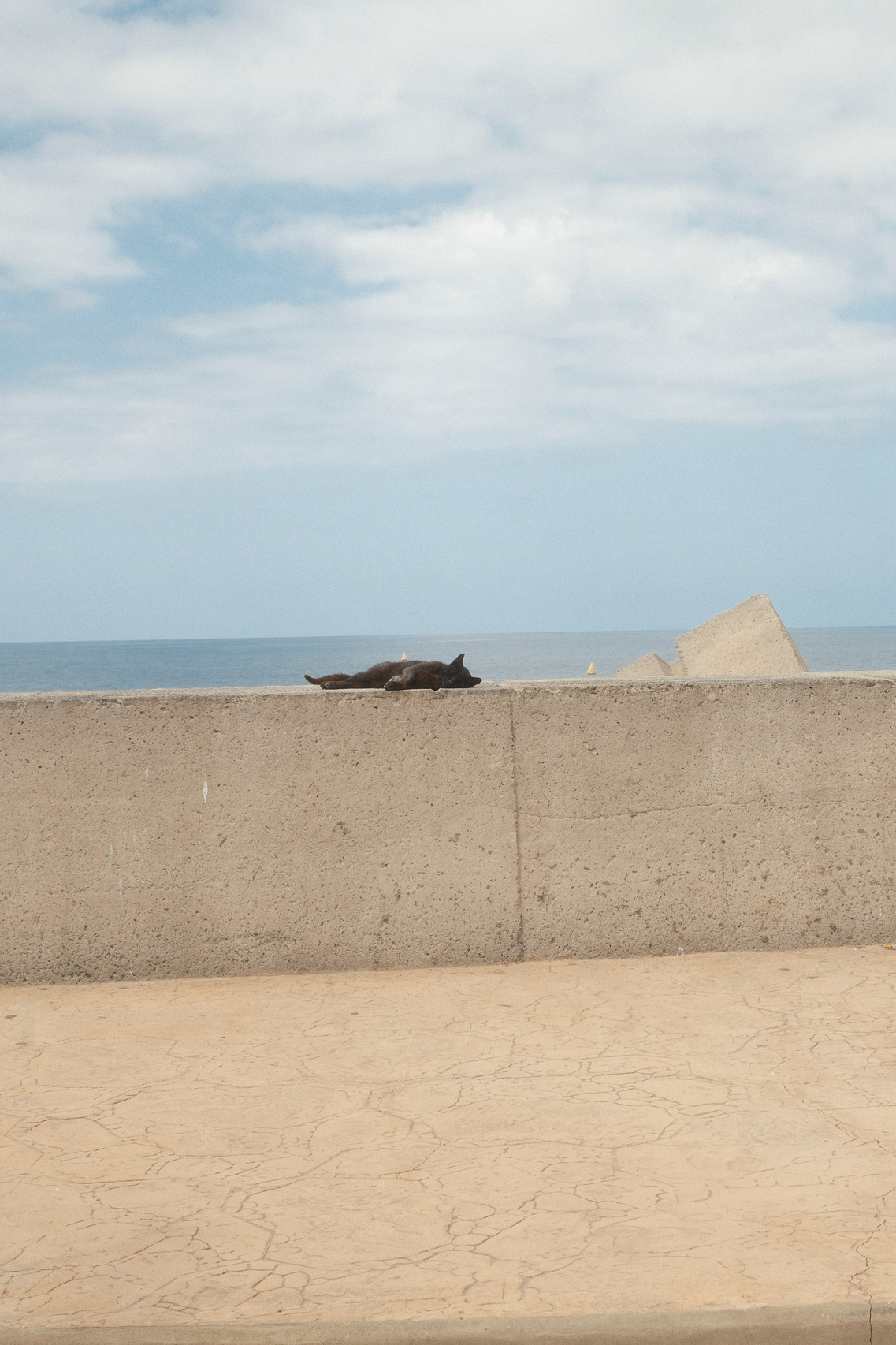 Gran Canaria with the X100VI: Photo Diary. Cal Takes Photos