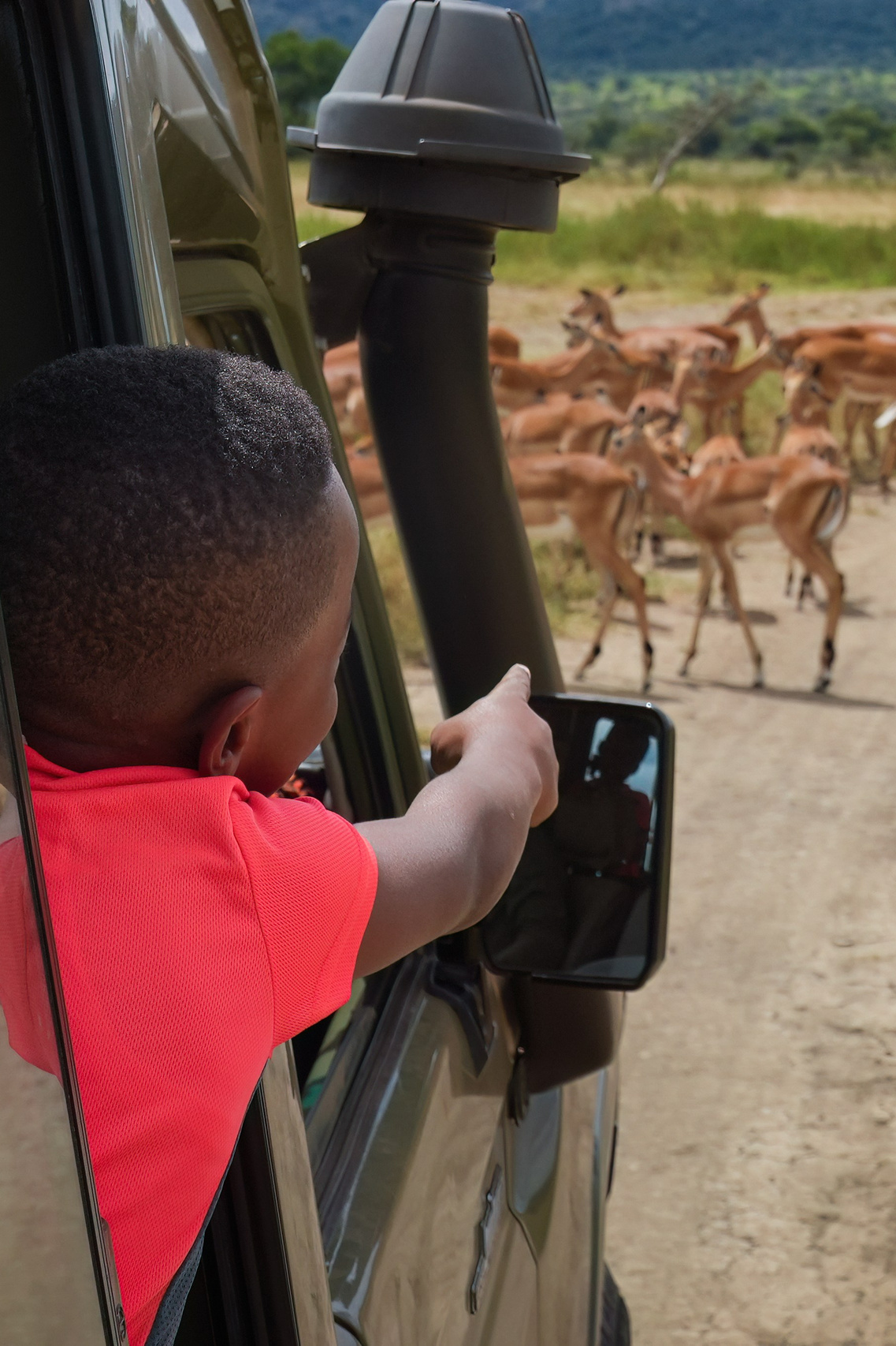 FUTURE GUARDIANS. Fine art wildlife photographer Alexandra Surkova