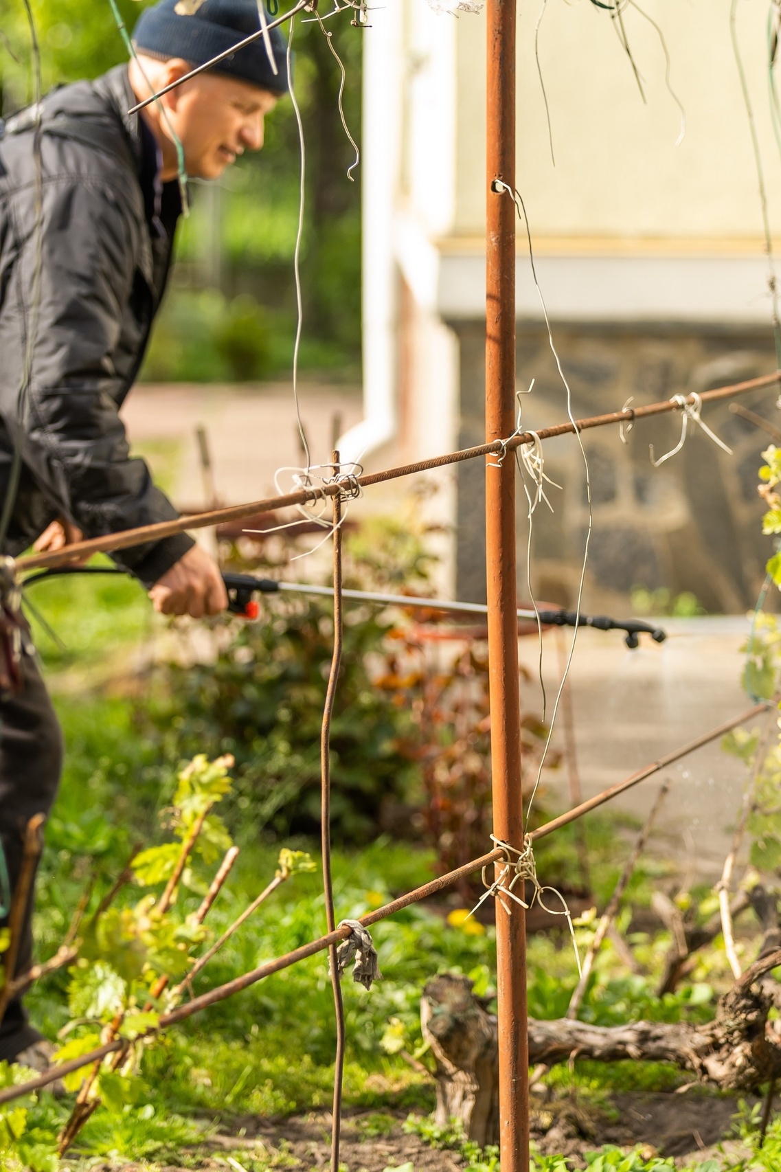 Συντήρηση Πολυκατοικιών | Καθαρισμός & Κοινόχρηστοι Χώροι. Geoponitikon-Όταν η Επιστήμη συναντά την Τέχνη στο Φυσικό Τοπίο!