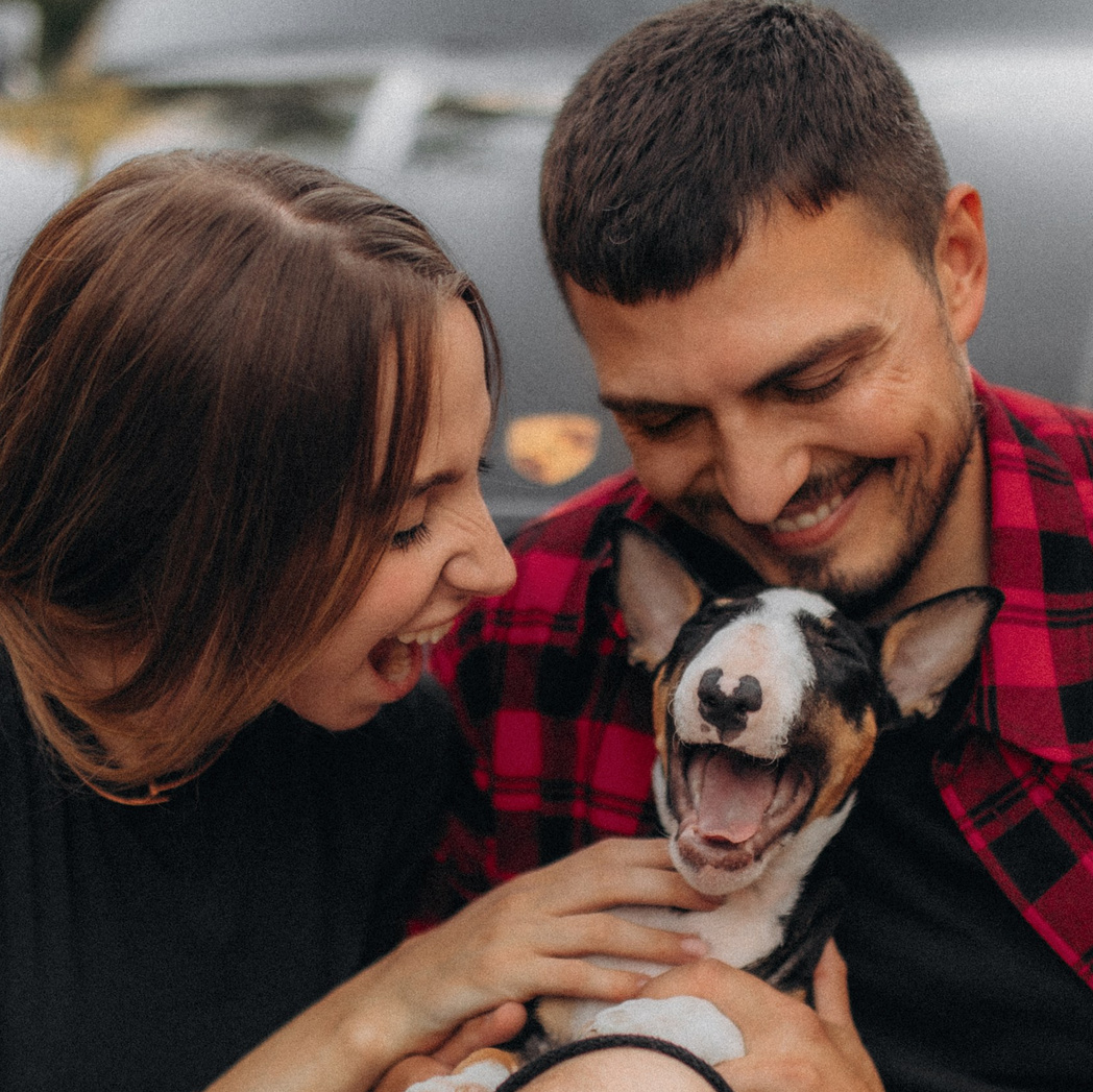 Фото. Фотограф-анімаліст Київ