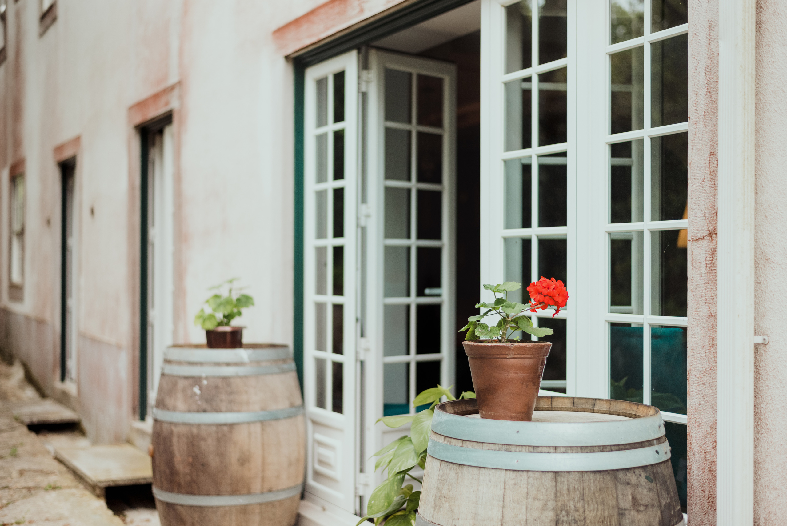 Garret + Filipe. Lifestyle, wedding and family photographer