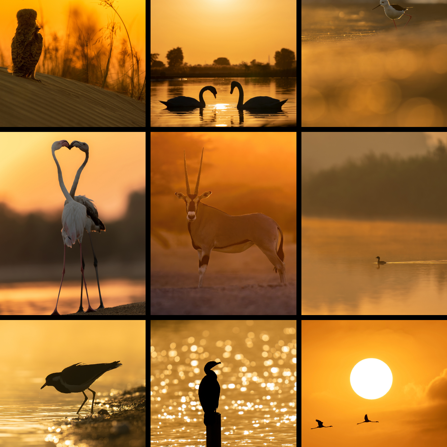 AWARDS AND RECOGNITIONS | AKHIL VINAYAK MENON PHOTOGRAPHY. Akhil Vinayak Menon Photography