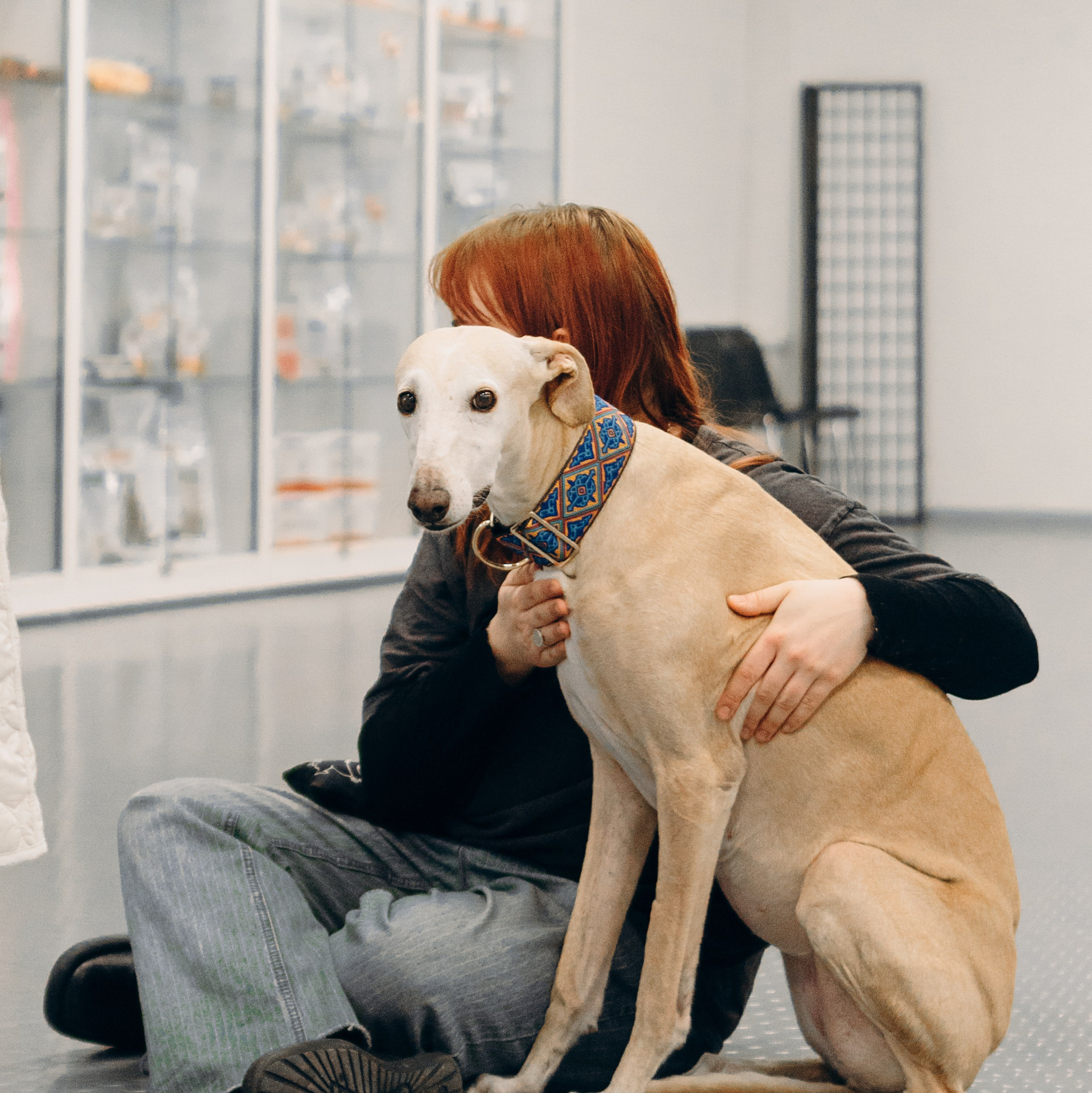 Kat Laisaar — Pet photographer in Tallinn