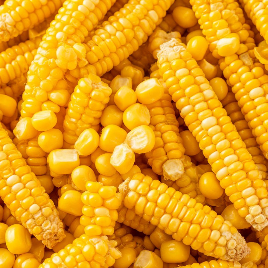 Корма для животных в Кургане — широкий ассортимент от АГРОКОРМ КУРГАН. Специализированный магазин кормов для животных АГРОКОРМ КУРГАН. Комбикорм, зерно, сено