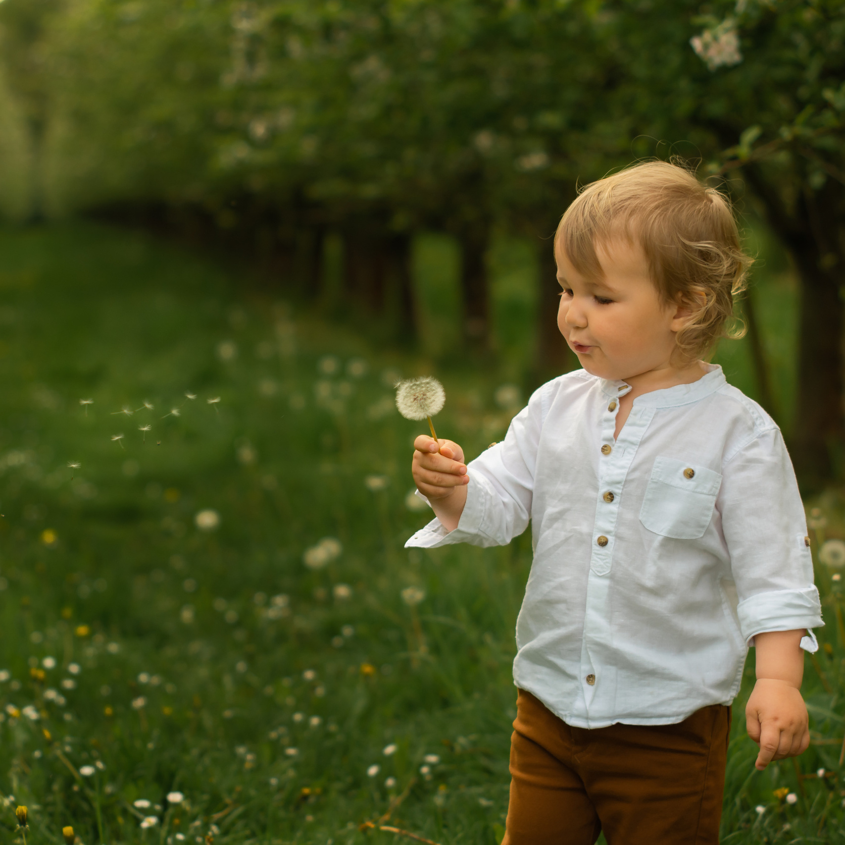 Preise. Kinder- und Familienfotografin