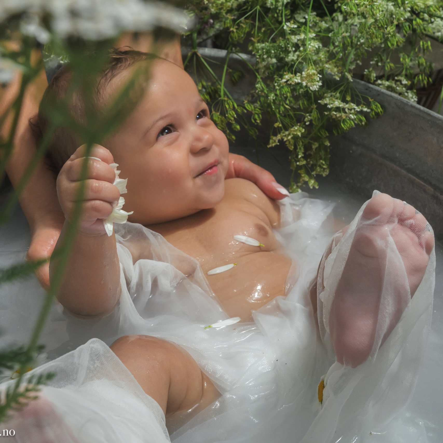 Nyfødt og barnfotograferinger i Ballangen og Narvik.