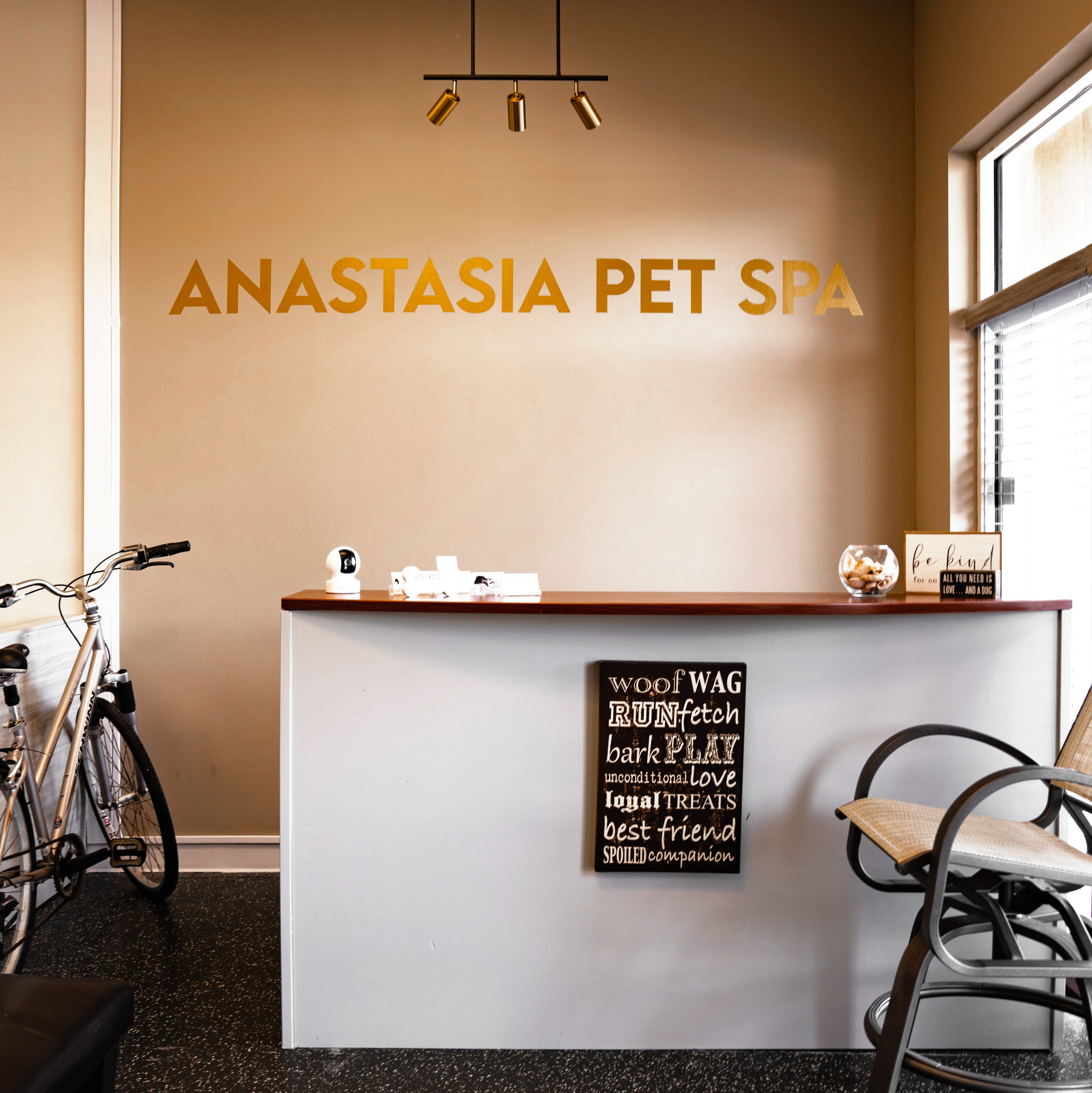 Personal brand photographer. Branding photography in Jacksonville FL