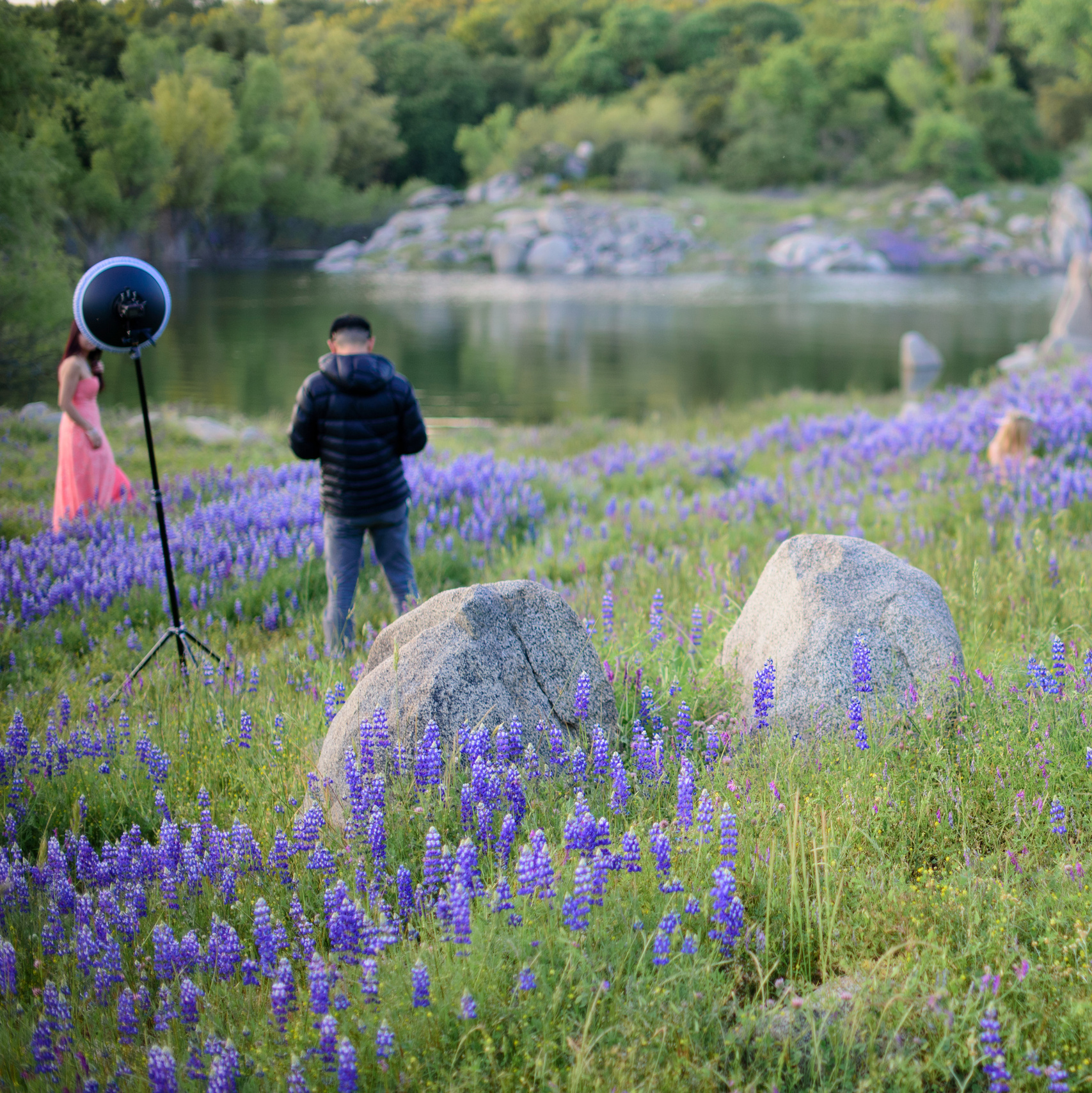 Best ideas for spring photography session. Family photographer in Roseville, Rocklin, Folsom, Sacramento