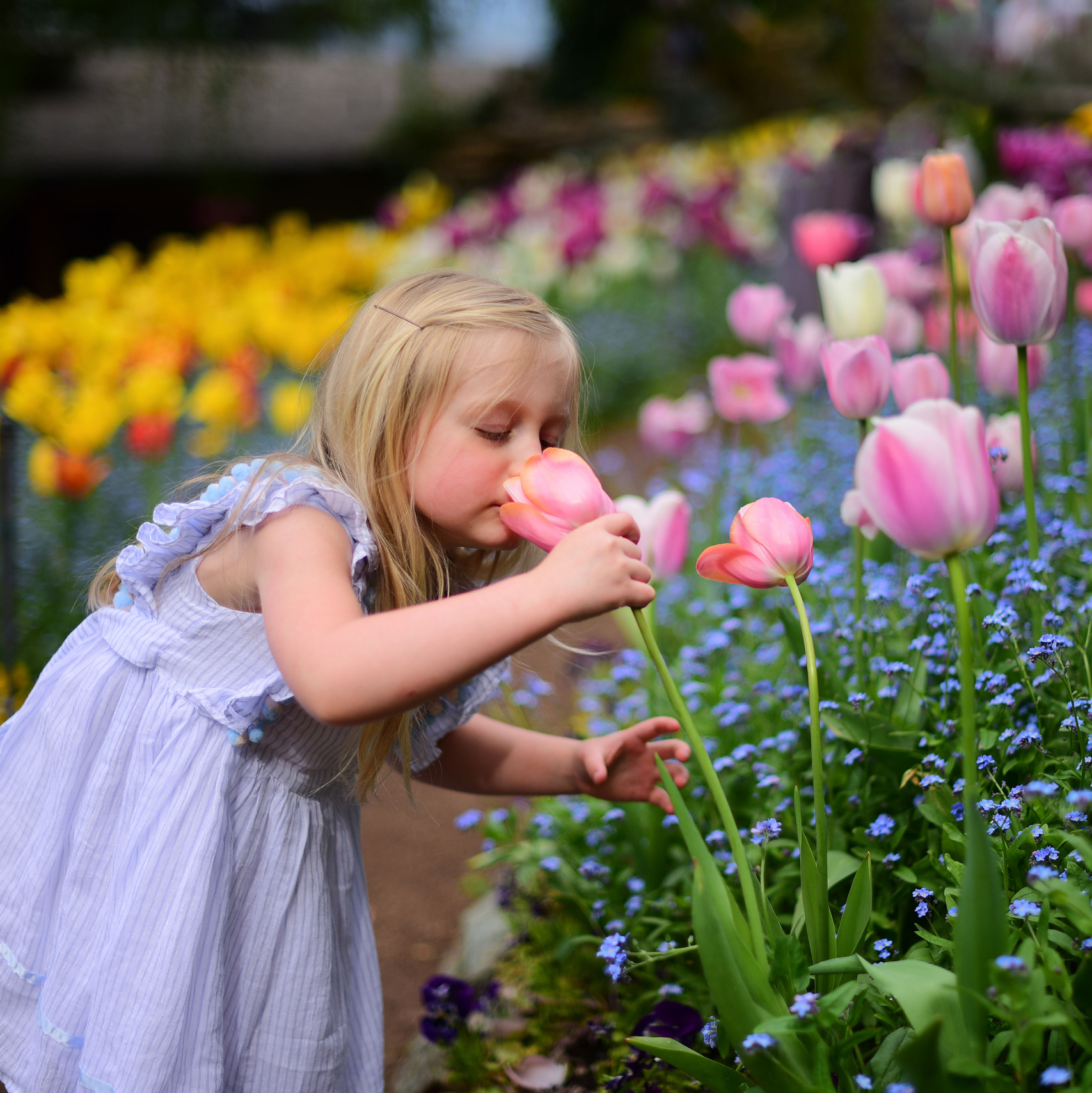 Best ideas for spring photography session. Family photographer in Roseville, Rocklin, Folsom, Sacramento