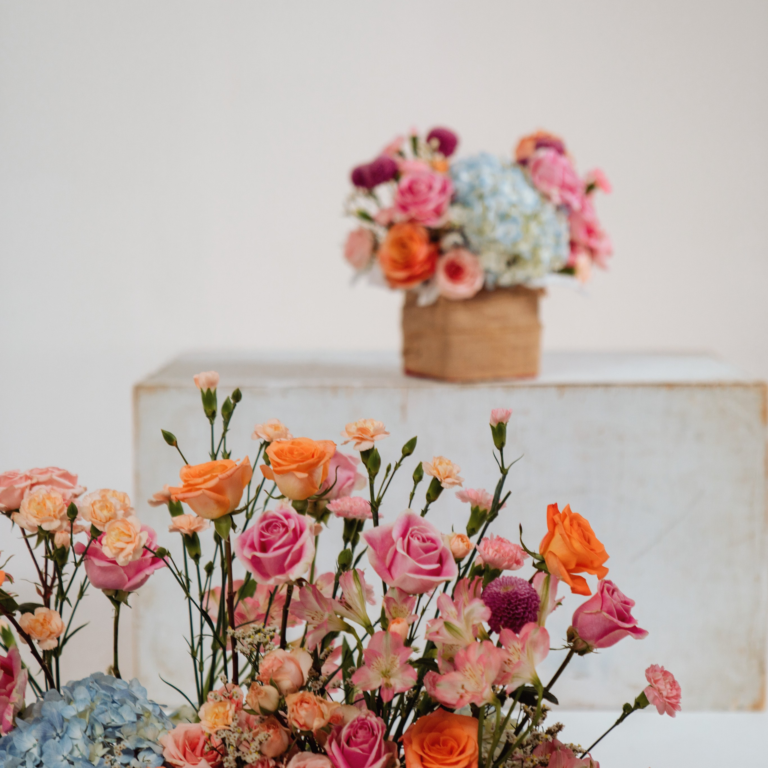 Valentine’s Studio Minis in Jacksonville, FL — Red Bow & Floral Themes