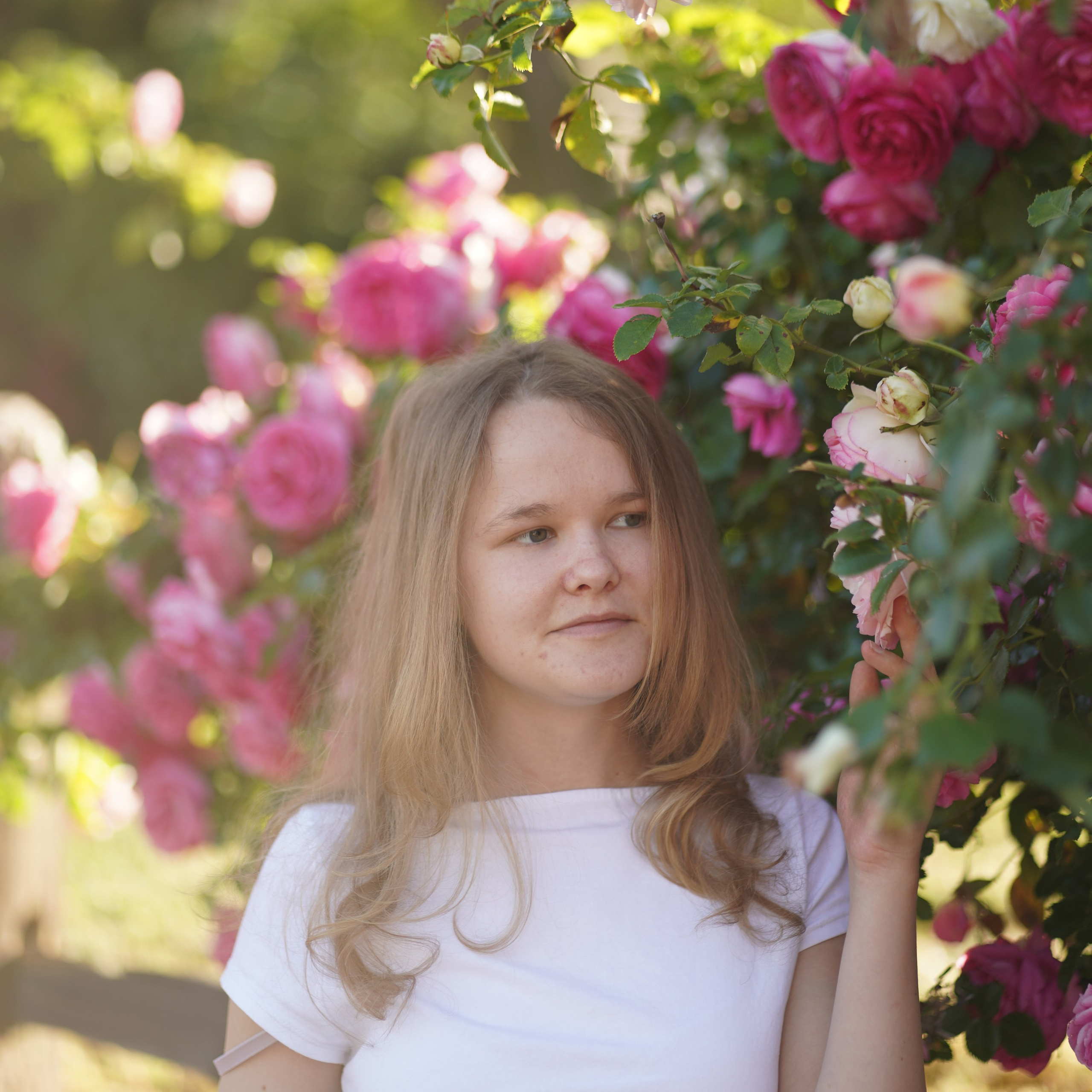 Reviews. Golden Horizon Pool Cleaning Service in Arizona