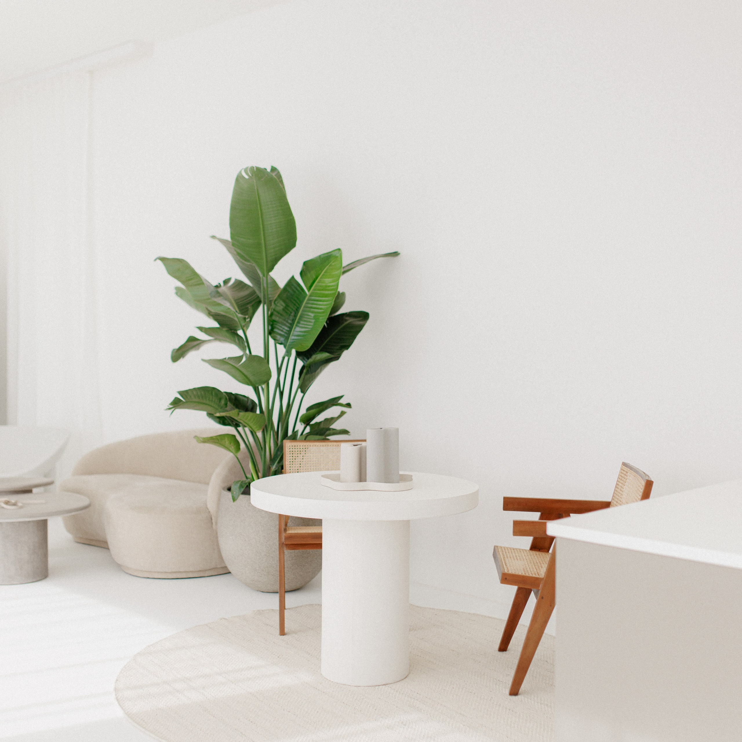 Book your Daylight Photo Studio in Uster now and create content with character!. Wedding and Family Photographer Switzerland and Italy. Valeria Diaz