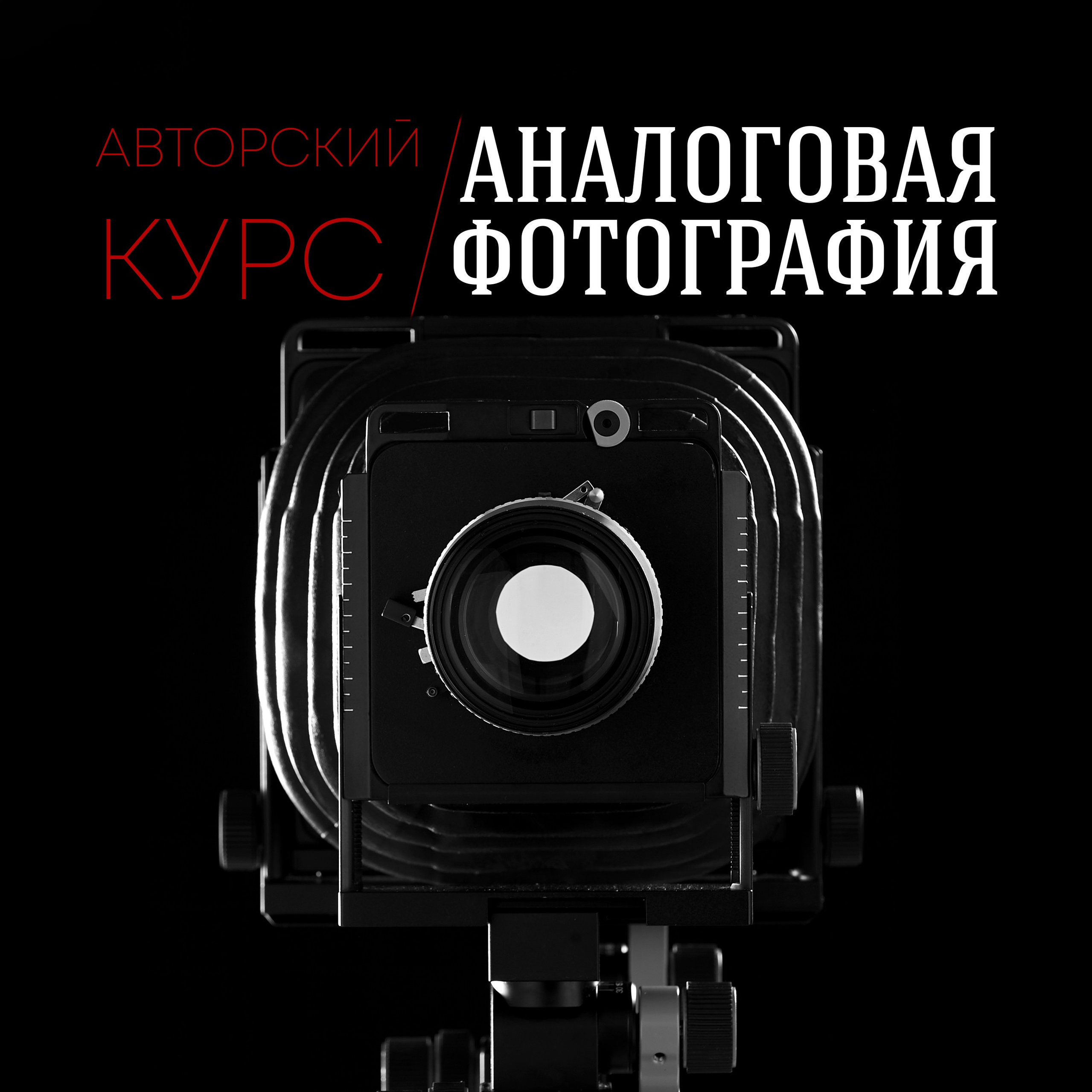 Студия. Фотограф Илона Иванова, Кондрашин студия, Рига