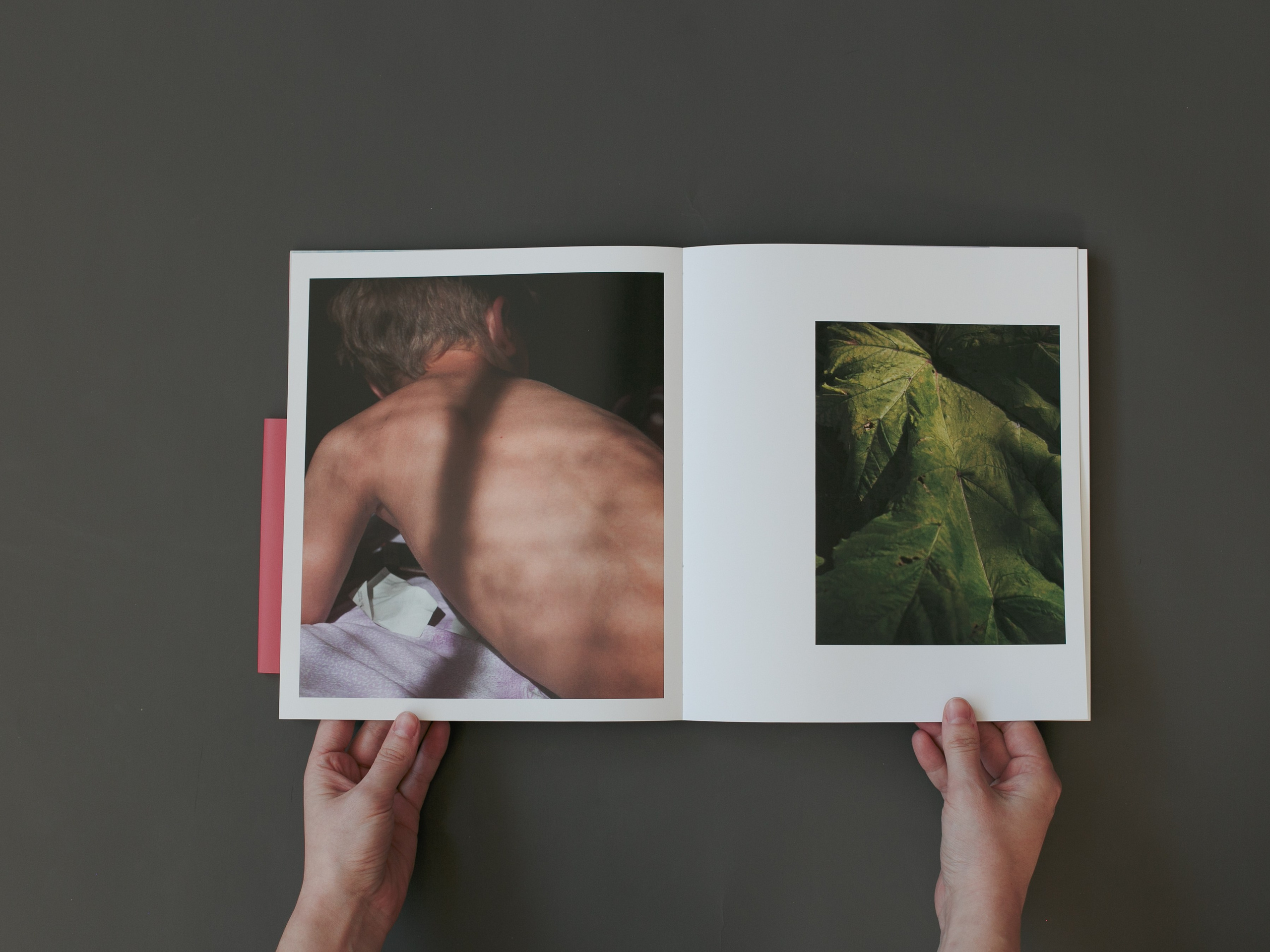 Highlights by Eugenia Ignatova