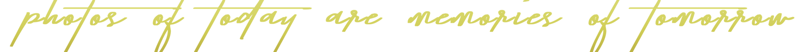 night lens logo motto
