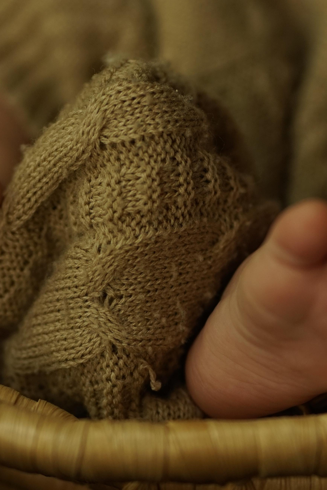 Услуги. Фотограф Москвы Китанина Елена