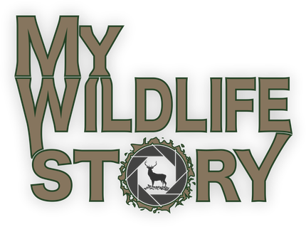 mywildlifestory.eu
