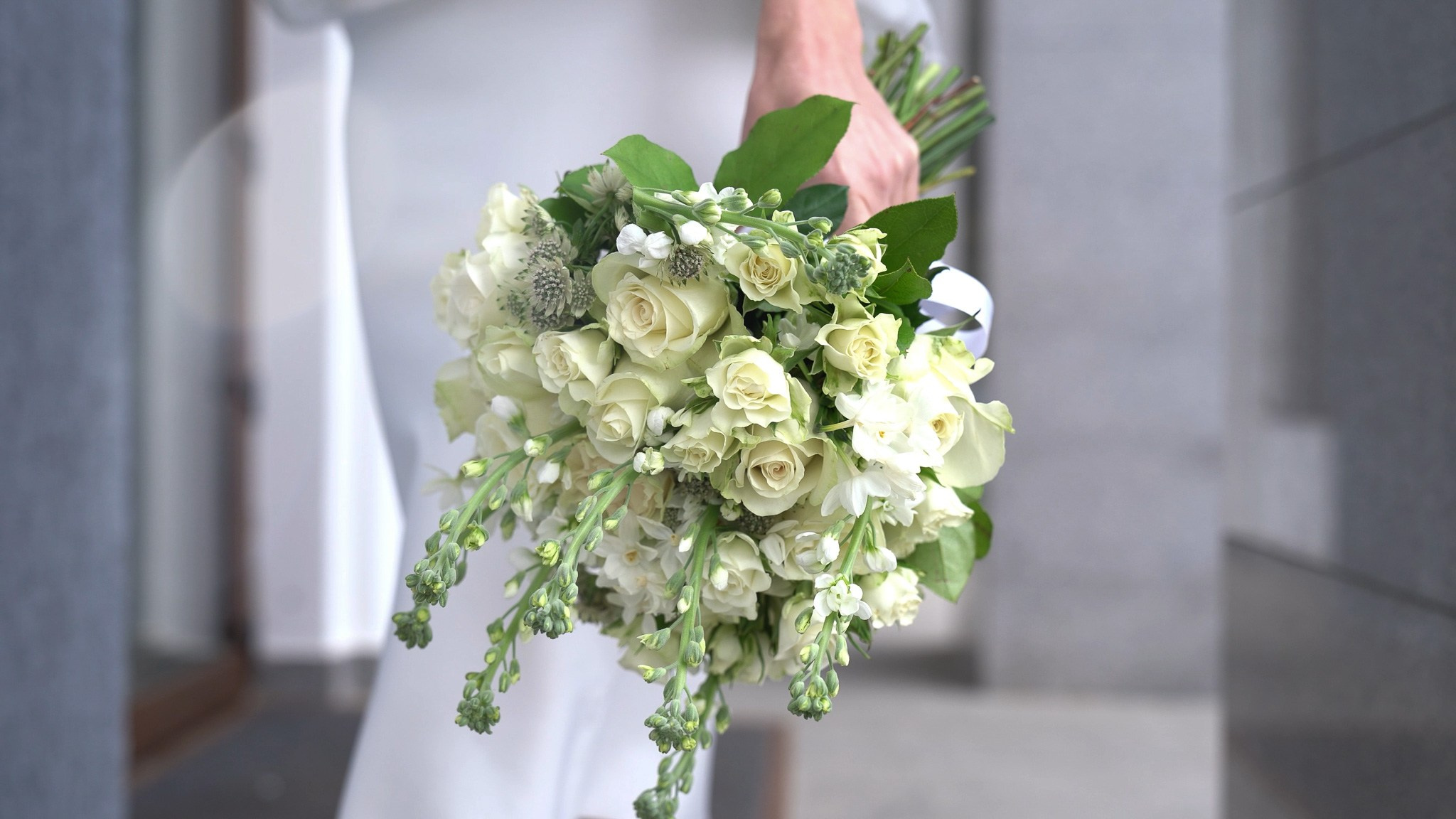 Cameraman (videograf) evenimente, nunti din Sebeș, Alba-Iulia