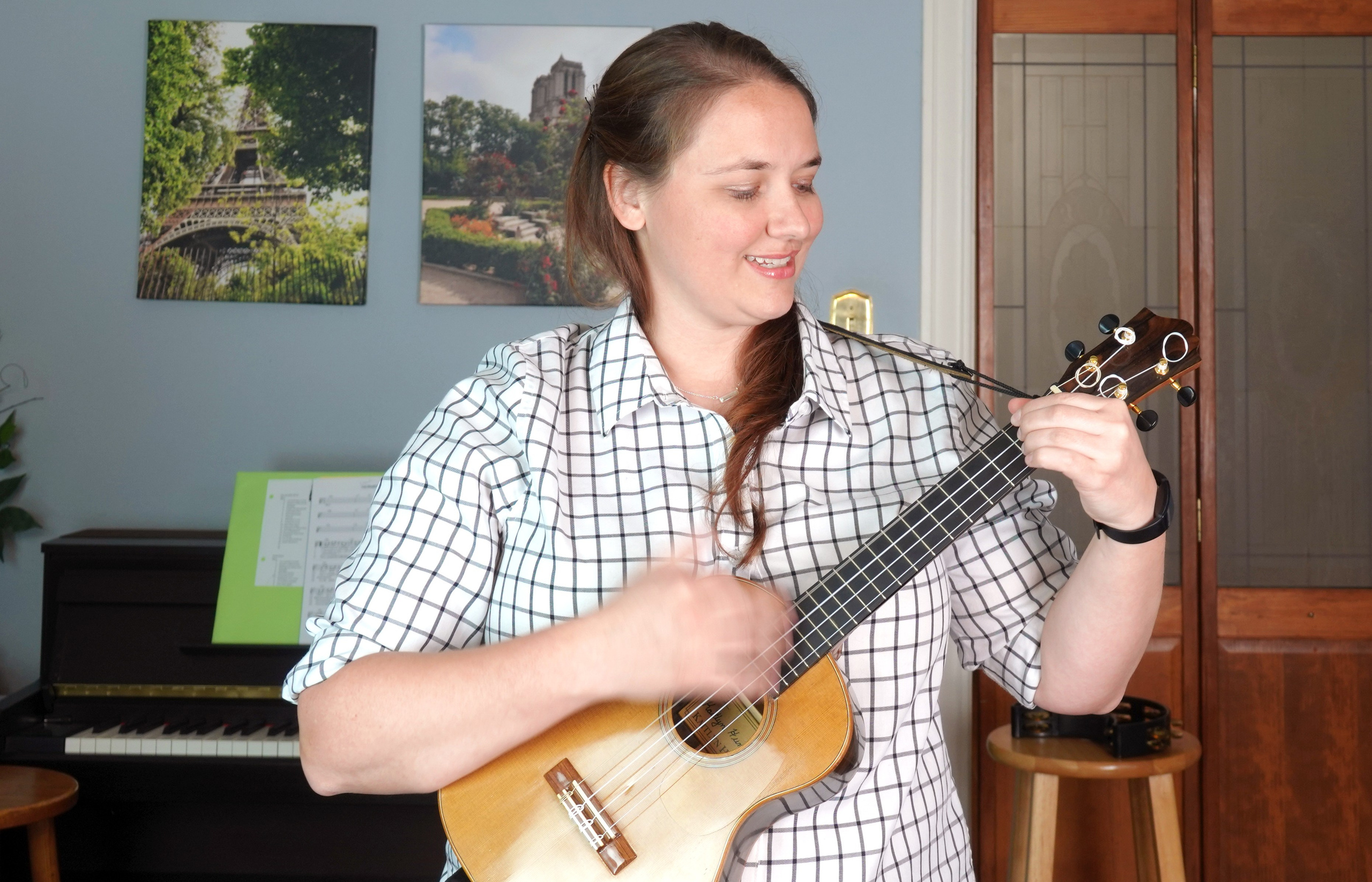 Musicians. Music group, name “String Theory”, based in Houston, TX