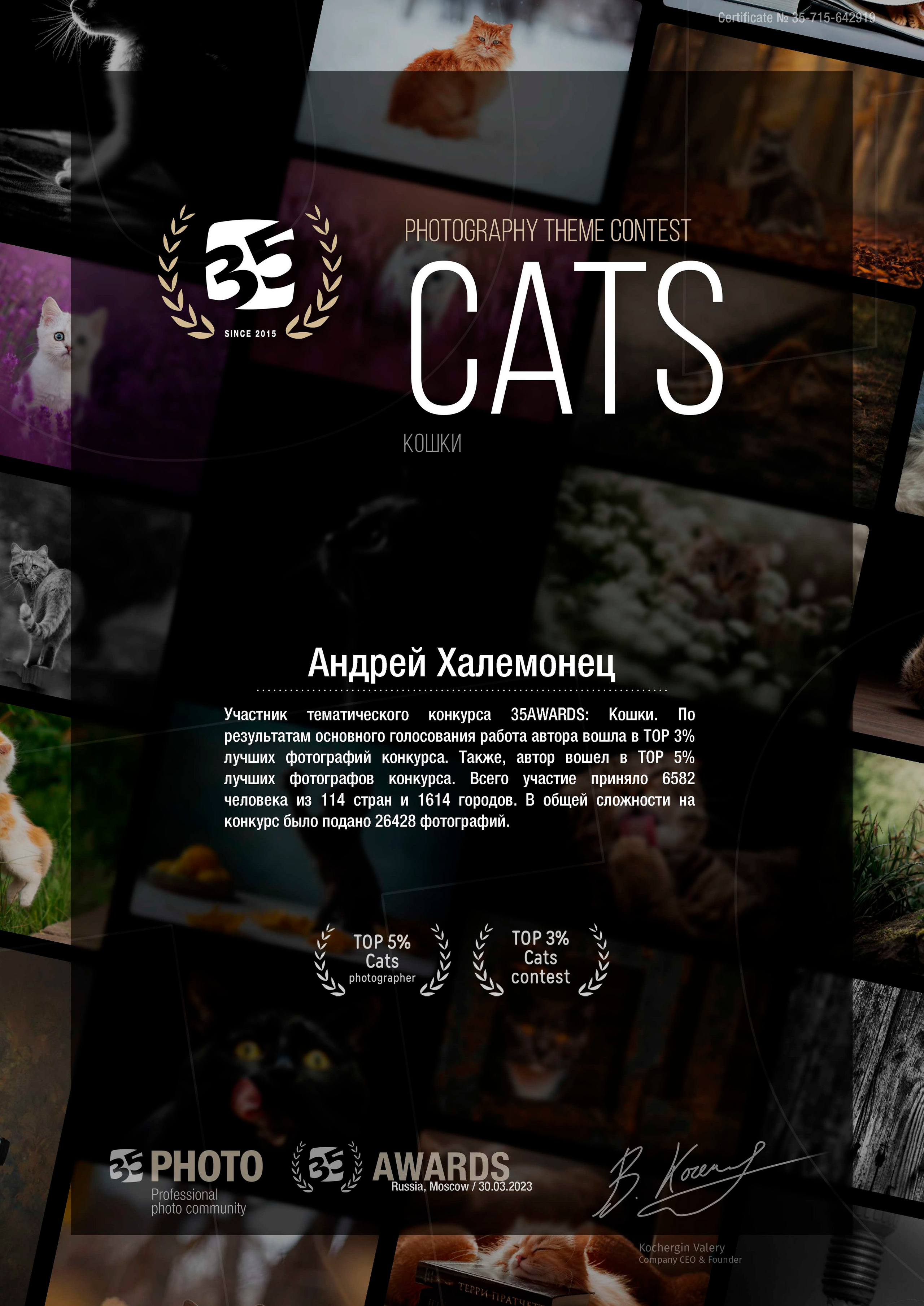 TOP 3% Contest «Cats» 35 Awards. Профессиональный Фотограф Халемонец Андрей в Кривой Рог Днепр Украина