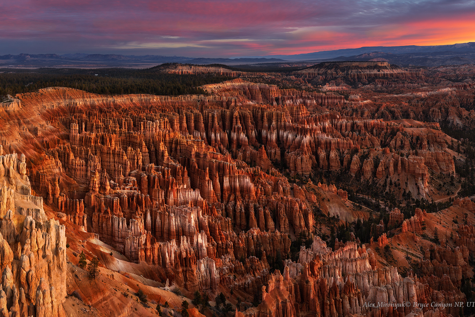 Программа Тура. Alex Mironyuk Photography