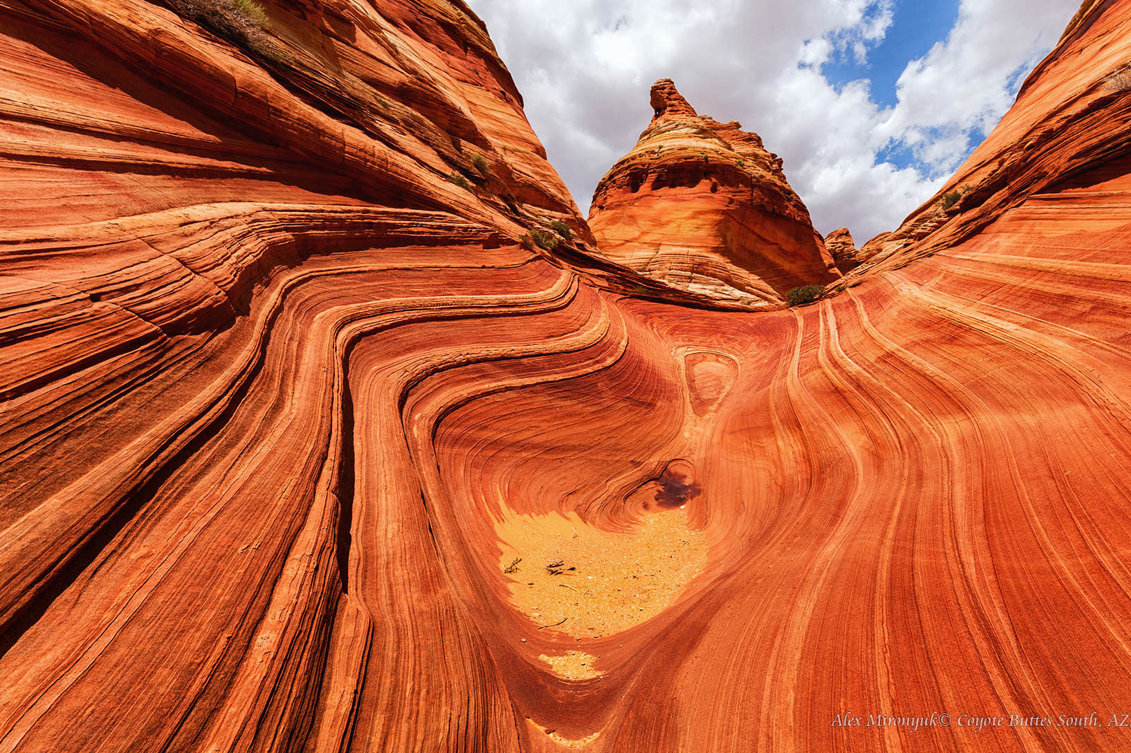 Программа Тура. Alex Mironyuk Photography