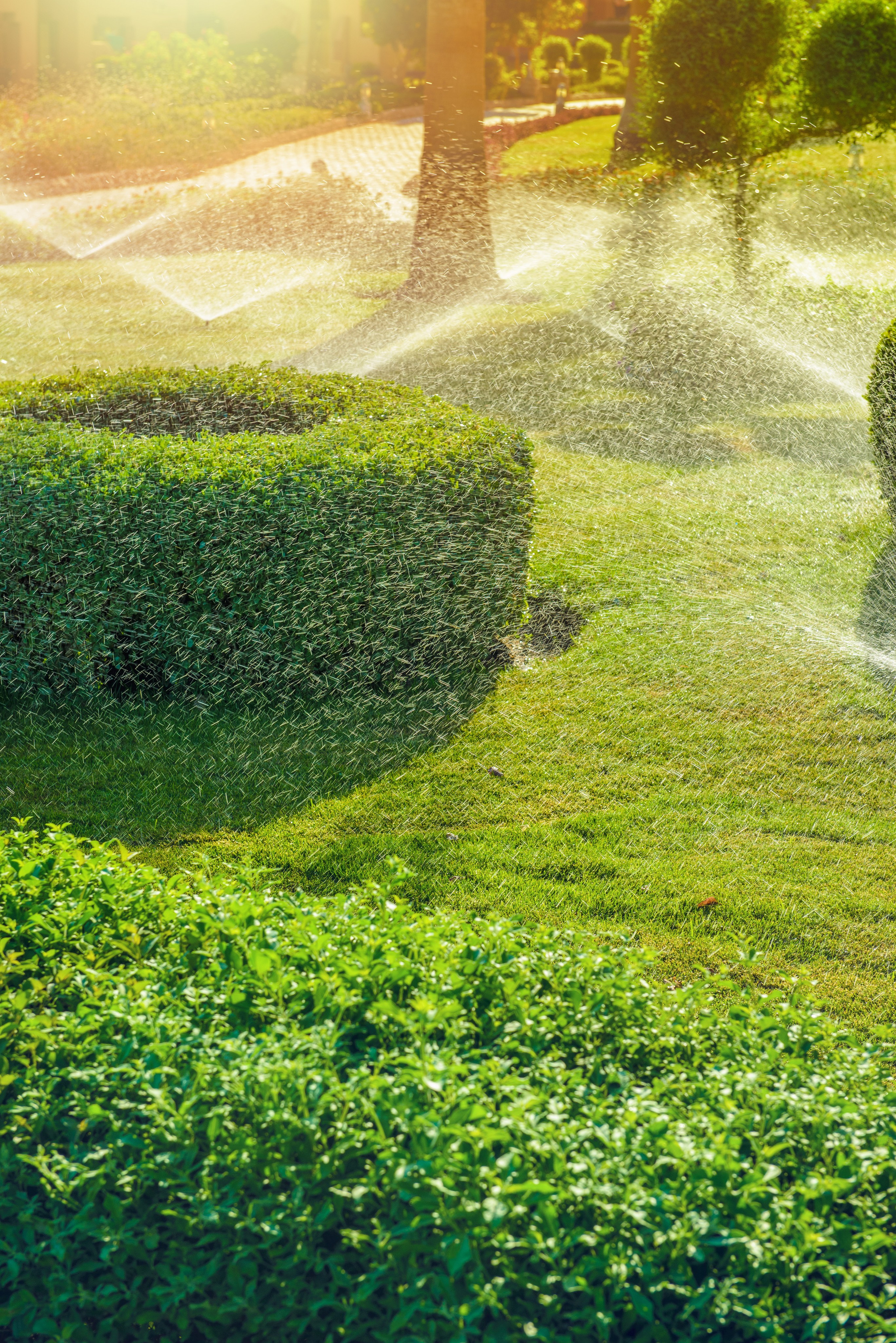 Υπηρεσίες. Aqua Nucifera | Φίλτρα Νερού Καρύδας & Έξυπνη Άρδευση