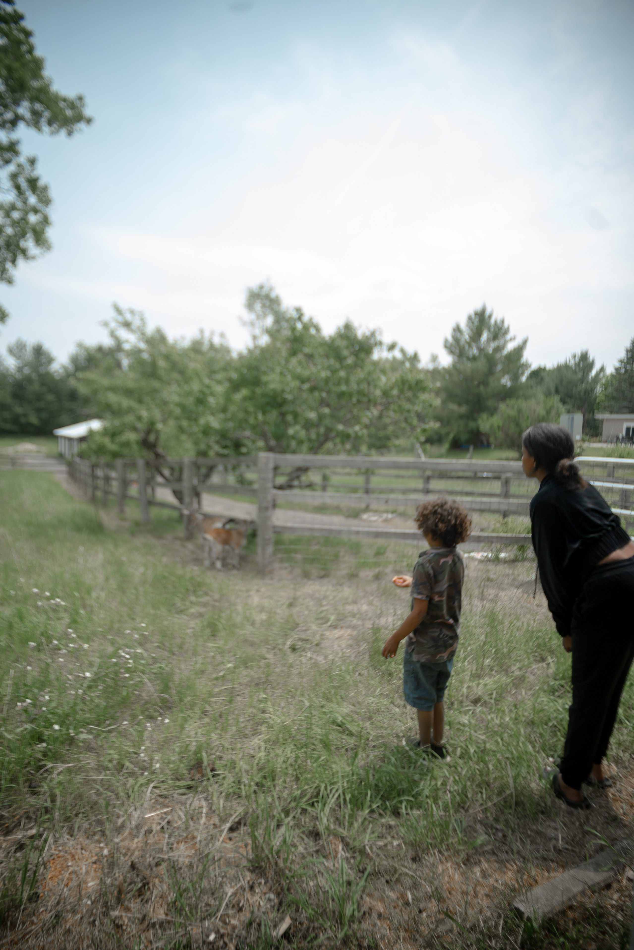 Expansion Session. Arts visuels par l’artiste de vie, Shiva Marchand