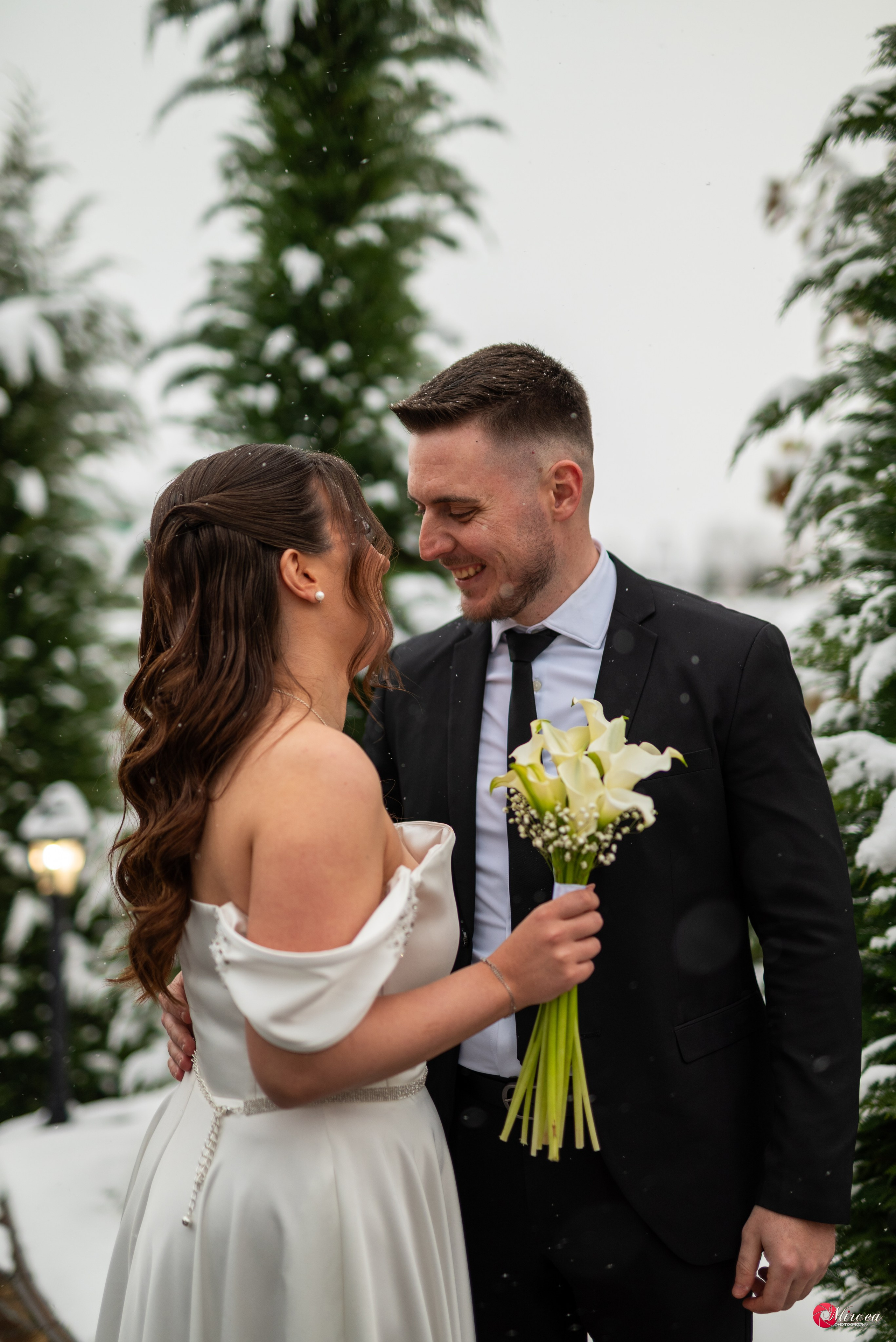 Mircea Marculescu Photography Videography