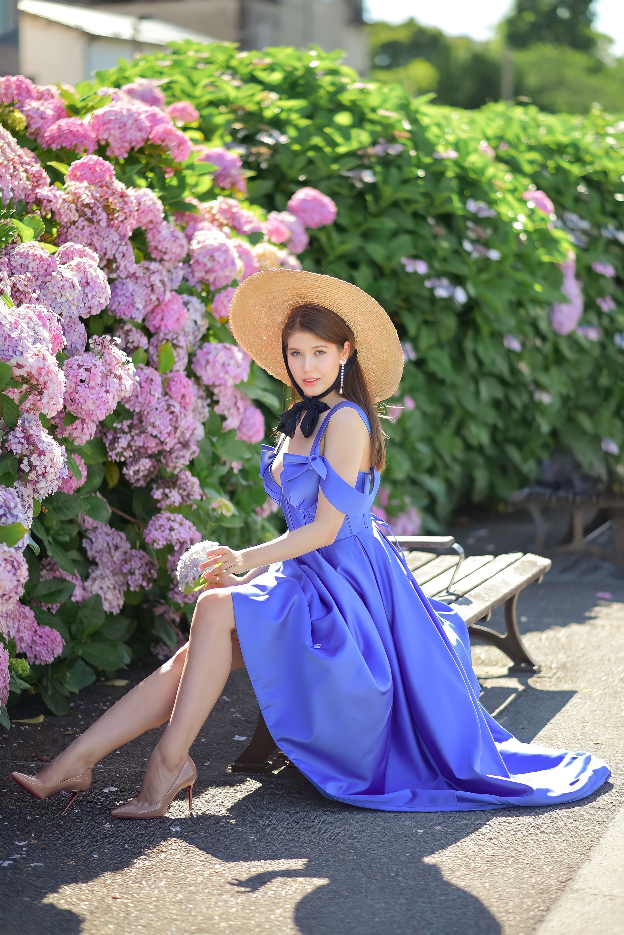 Hydrangea. Photographer in Tokyo, Japan