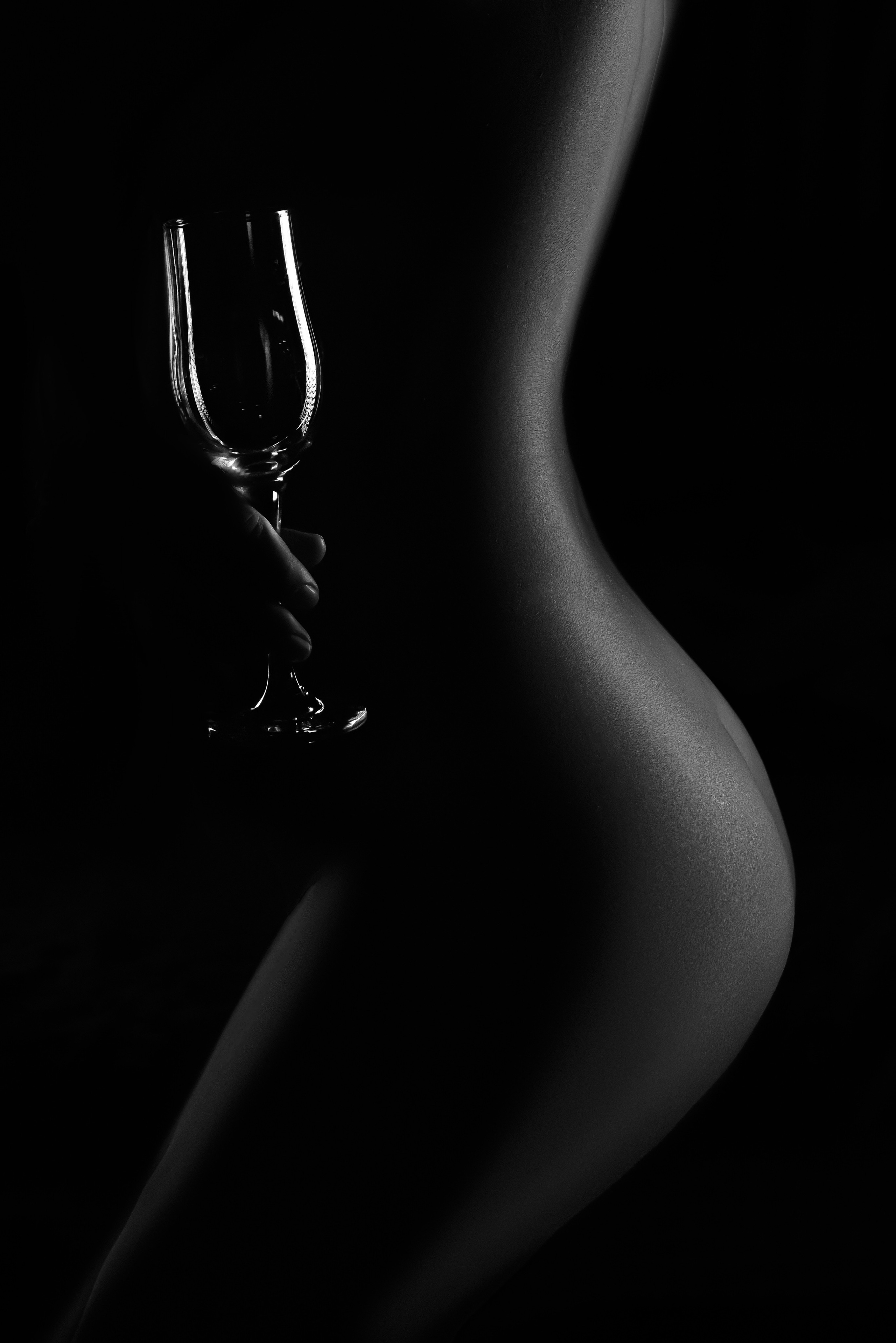 Силуэт в профиль обнаженная девушка с бокалом.